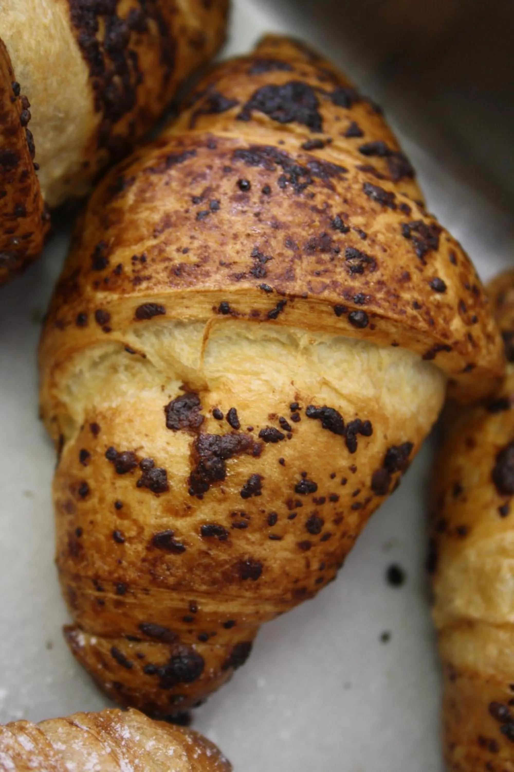 Buffet breakfast in Hotel La Torre