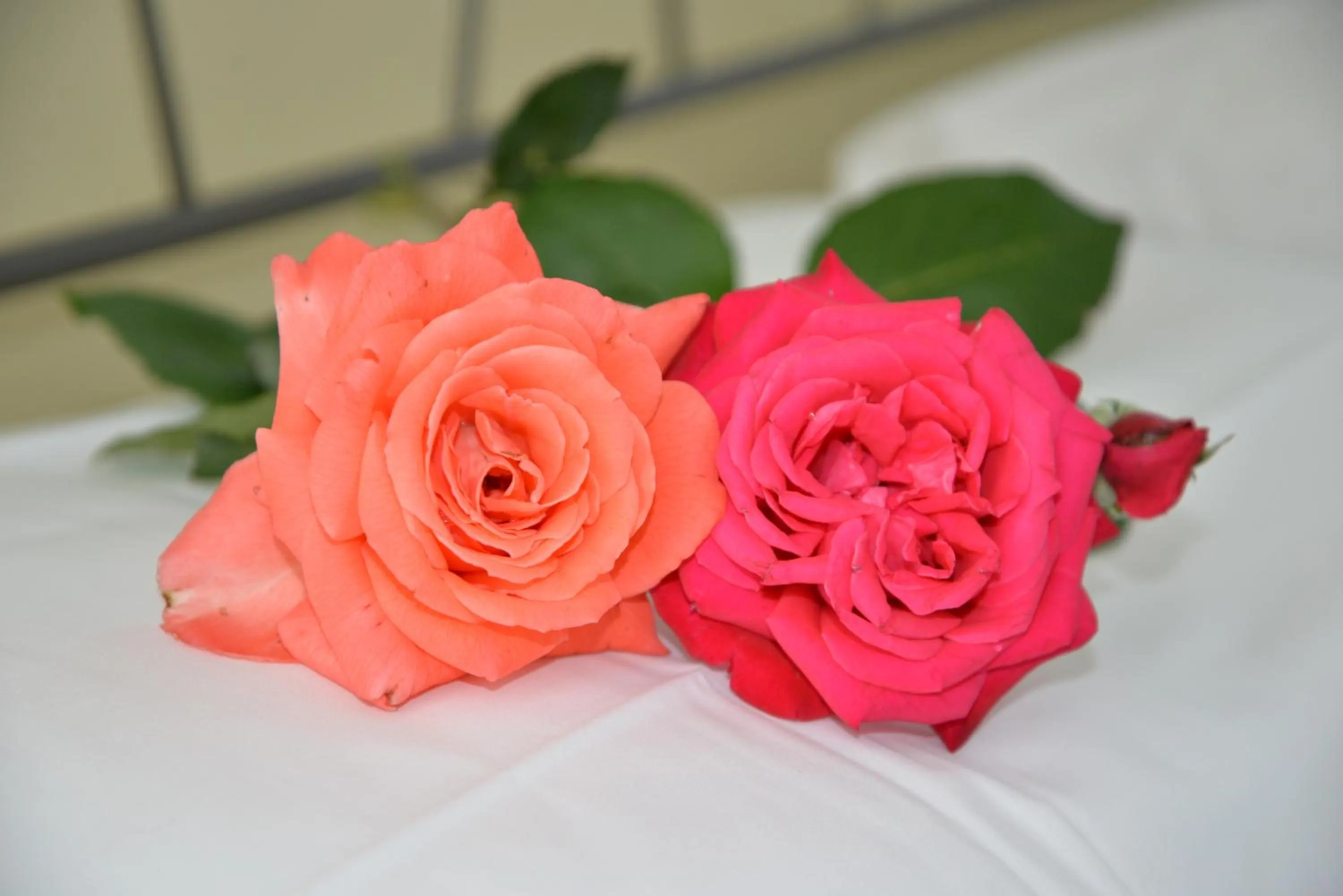 Decorative detail in Residence Le Corniole