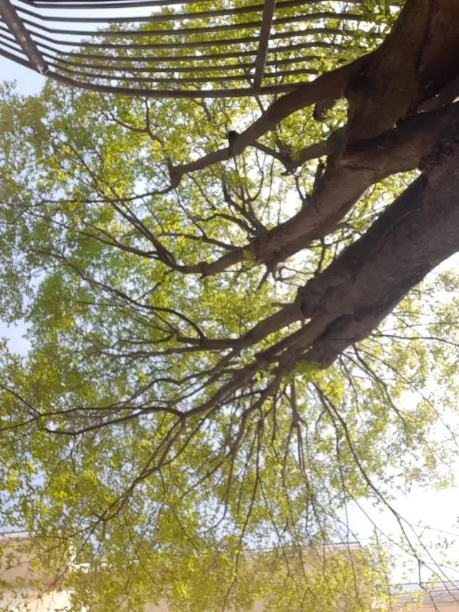Inner courtyard view in HOTEL QUERINI Essential Business Hotel Sandrigo