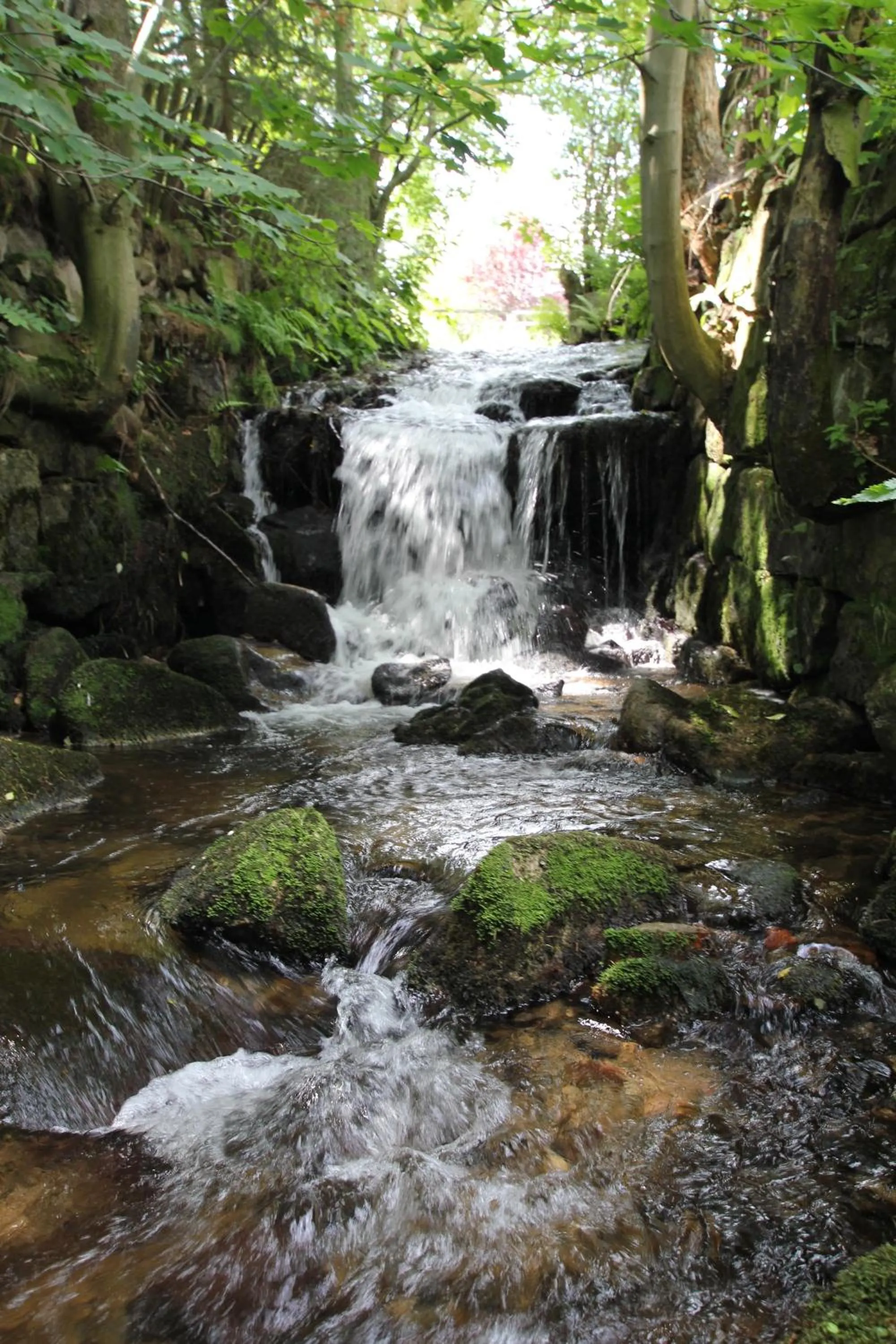 Natural landscape in BORSZÓWKA Dom Nad Potokiem - Pensjonat