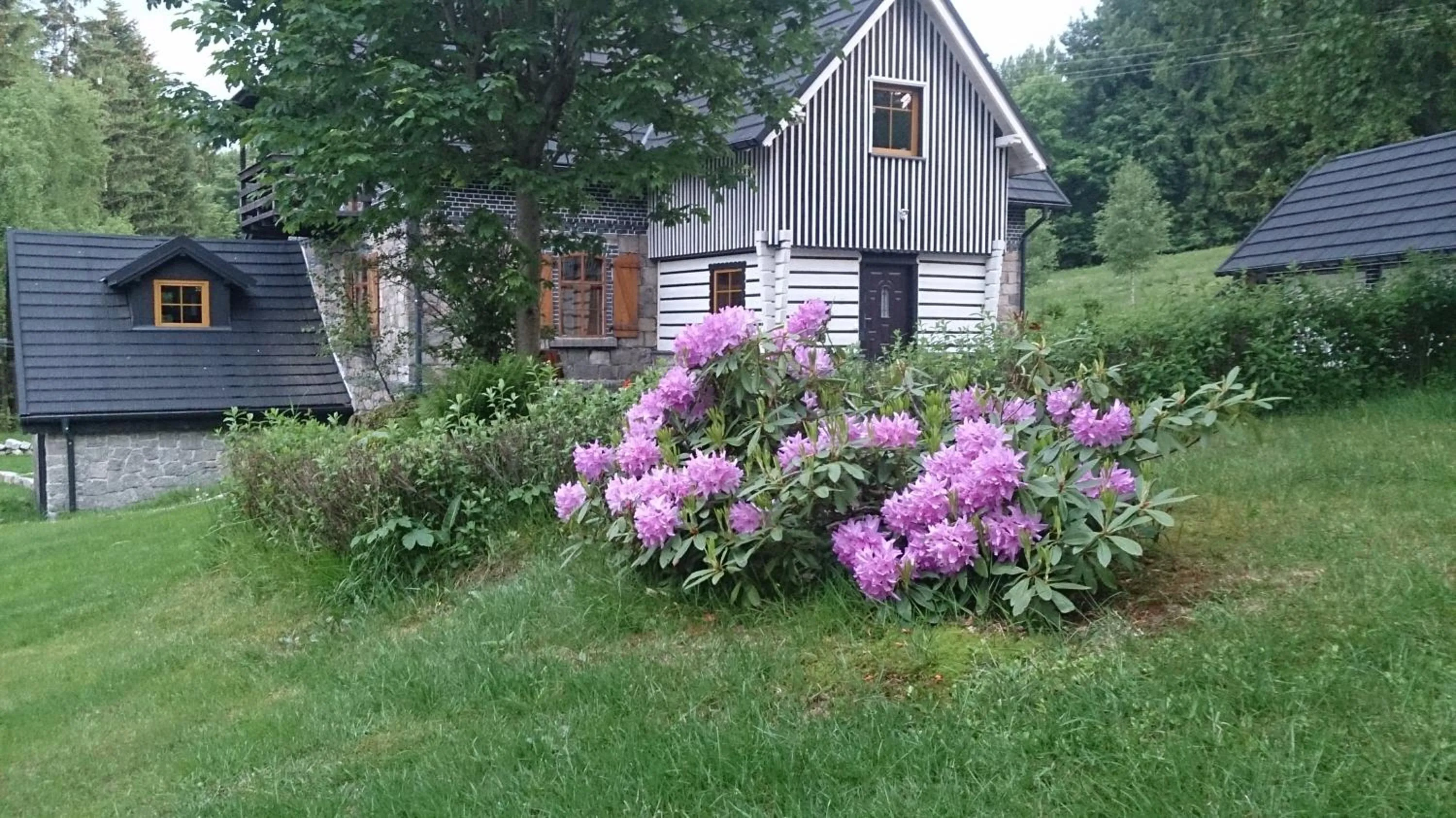 Garden view in BORSZÓWKA Dom Nad Potokiem - Pensjonat
