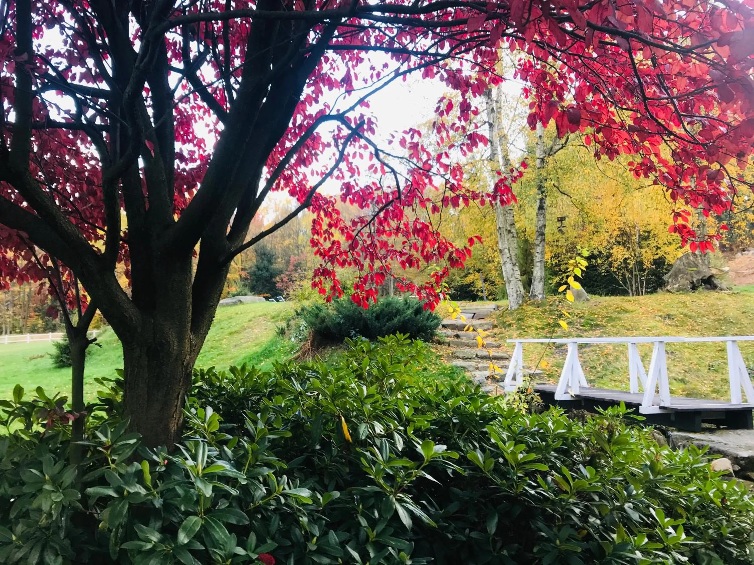 Garden in BORSZÓWKA Dom Nad Potokiem - Pensjonat