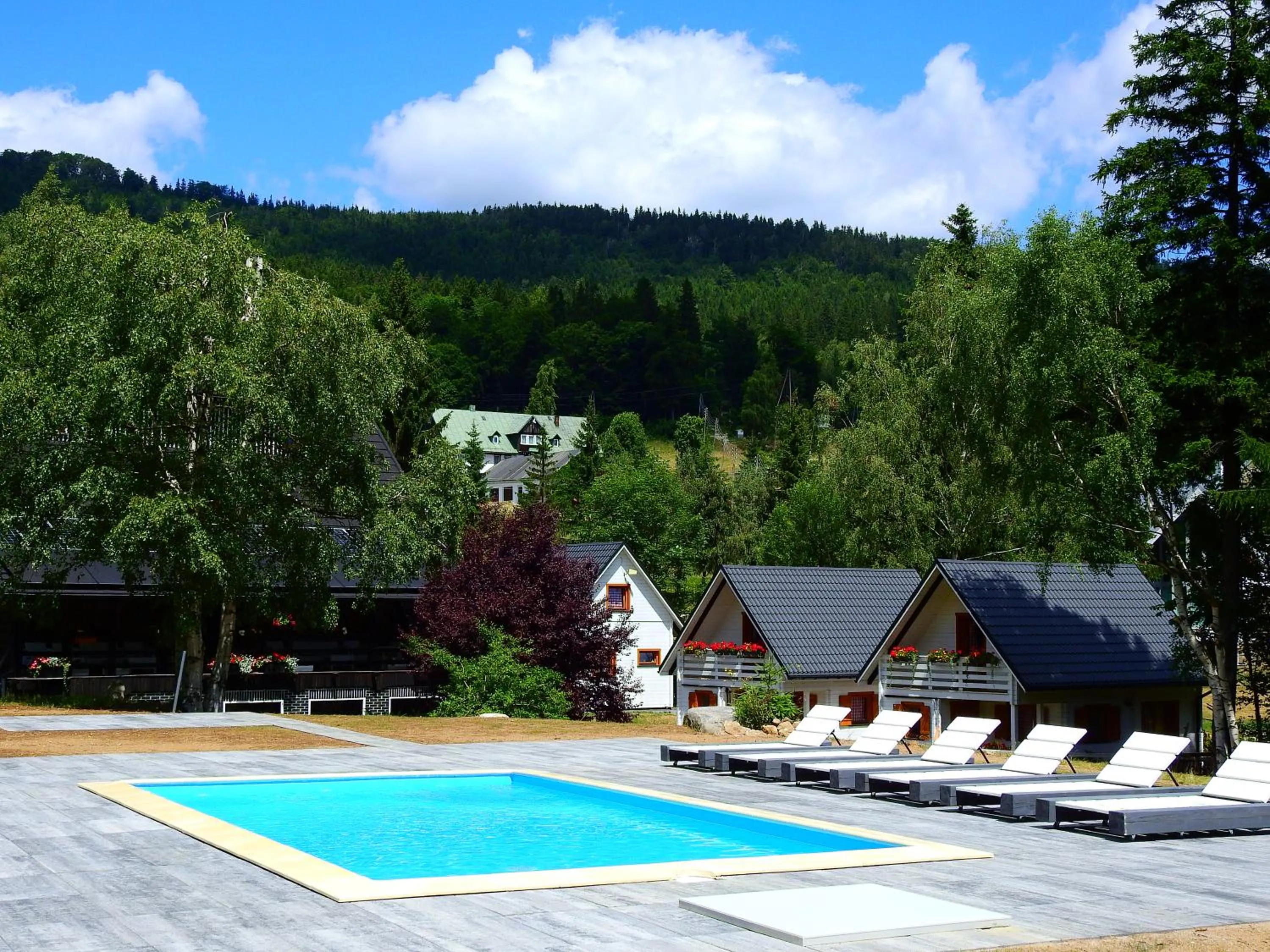 Swimming pool in BORSZÓWKA Dom Nad Potokiem - Pensjonat