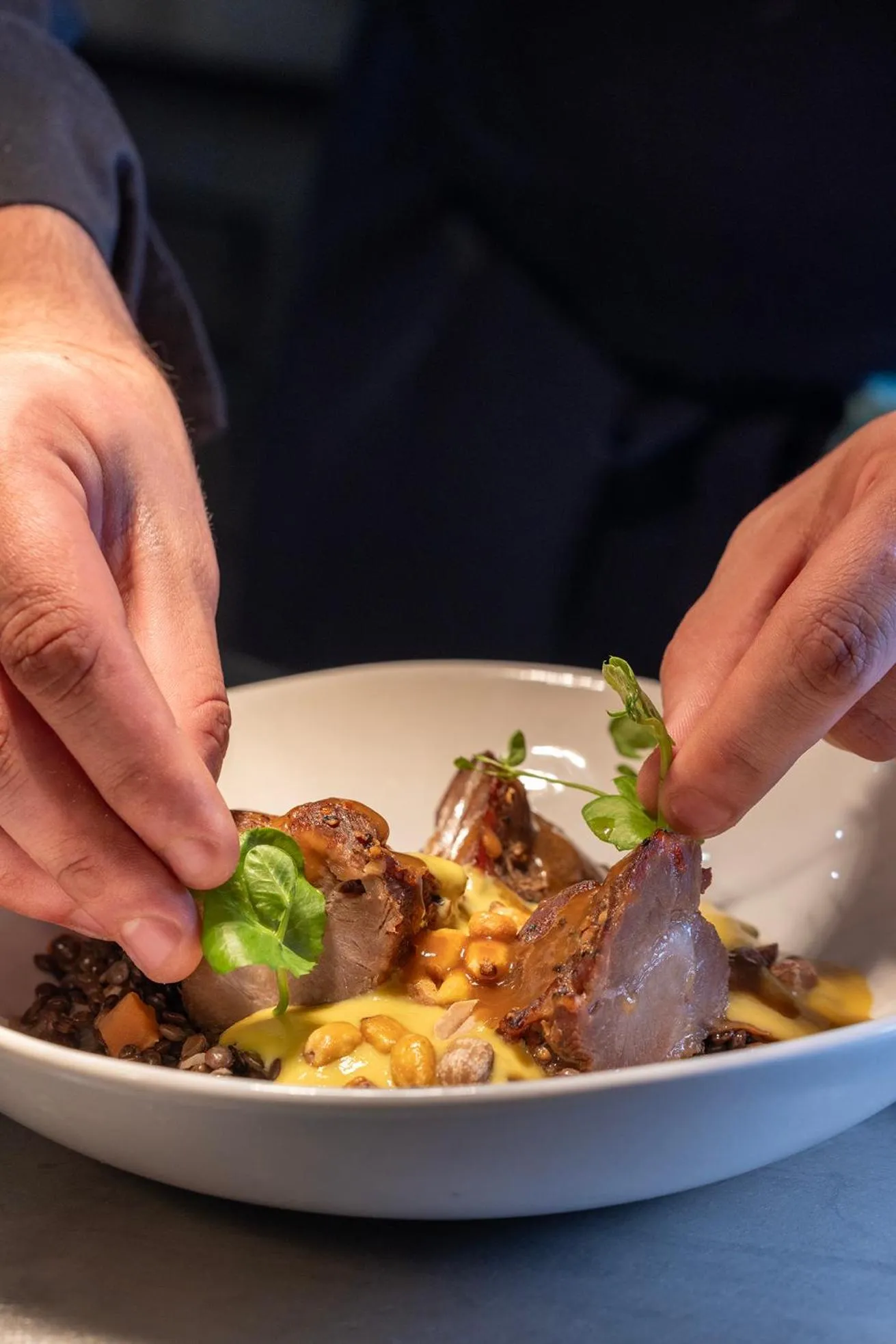 Hôtel Spa Restaurant Villa Castellane