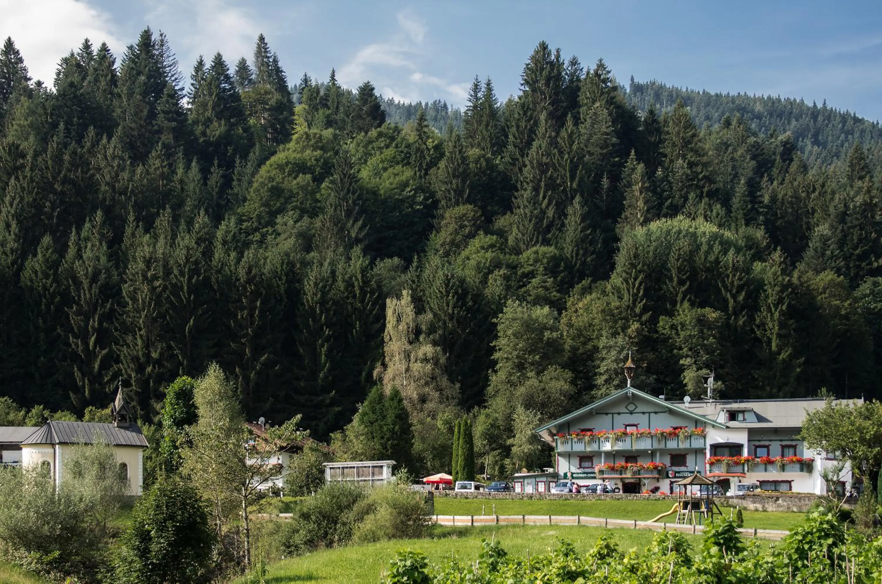 Neighbourhood in Gasthof Hauserwirt