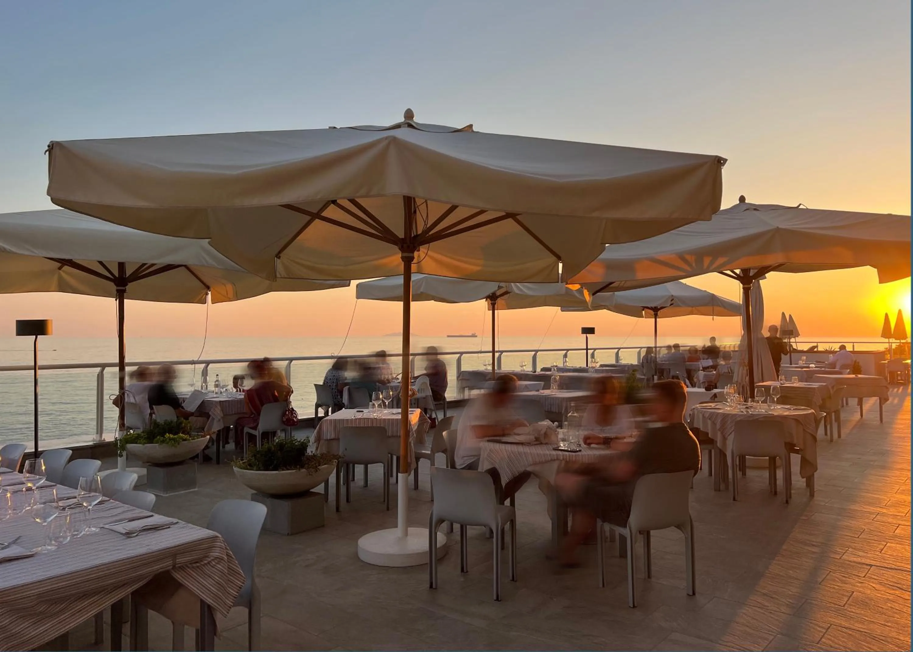 Restaurant/places to eat in Hotel Rex