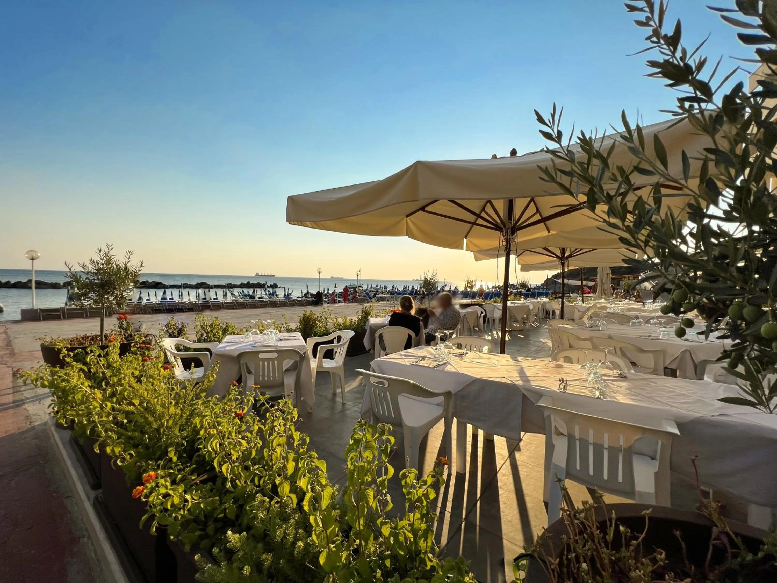 Restaurant/places to eat in Hotel Rex