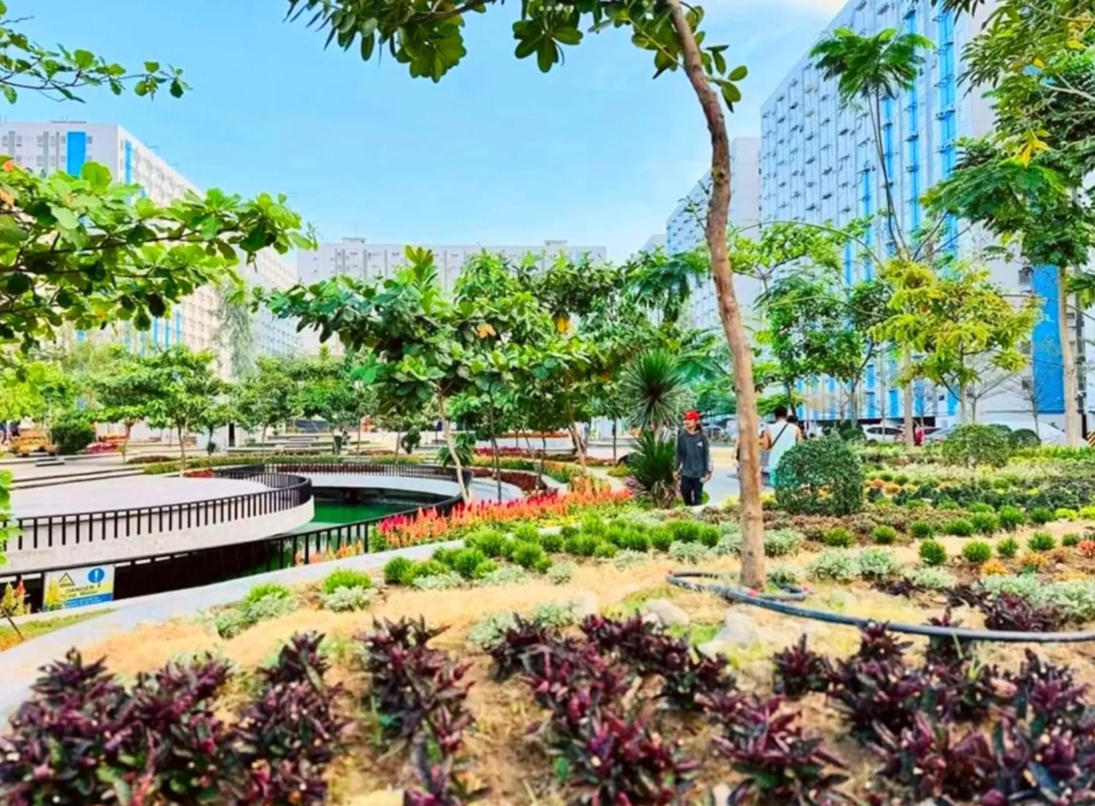 Property building in Pandora’s Nest