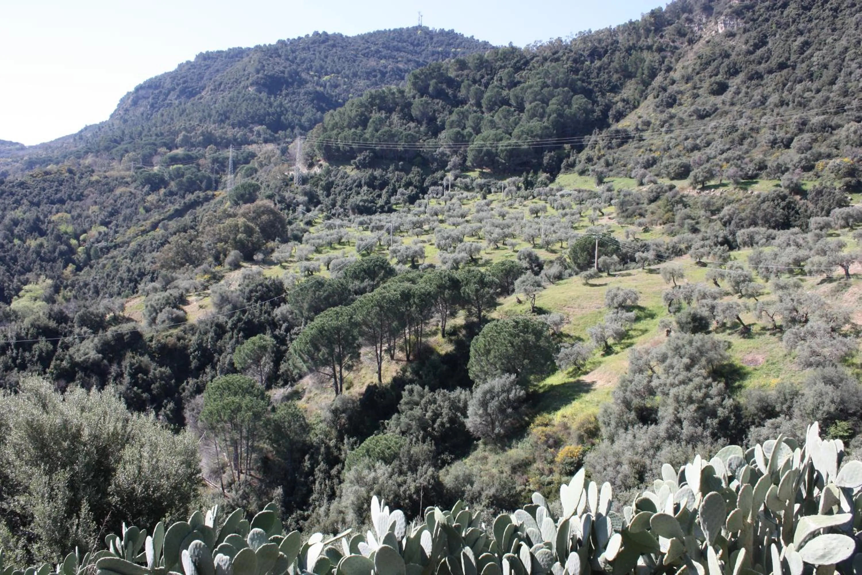 Azienda Agrituristica Le Puzelle