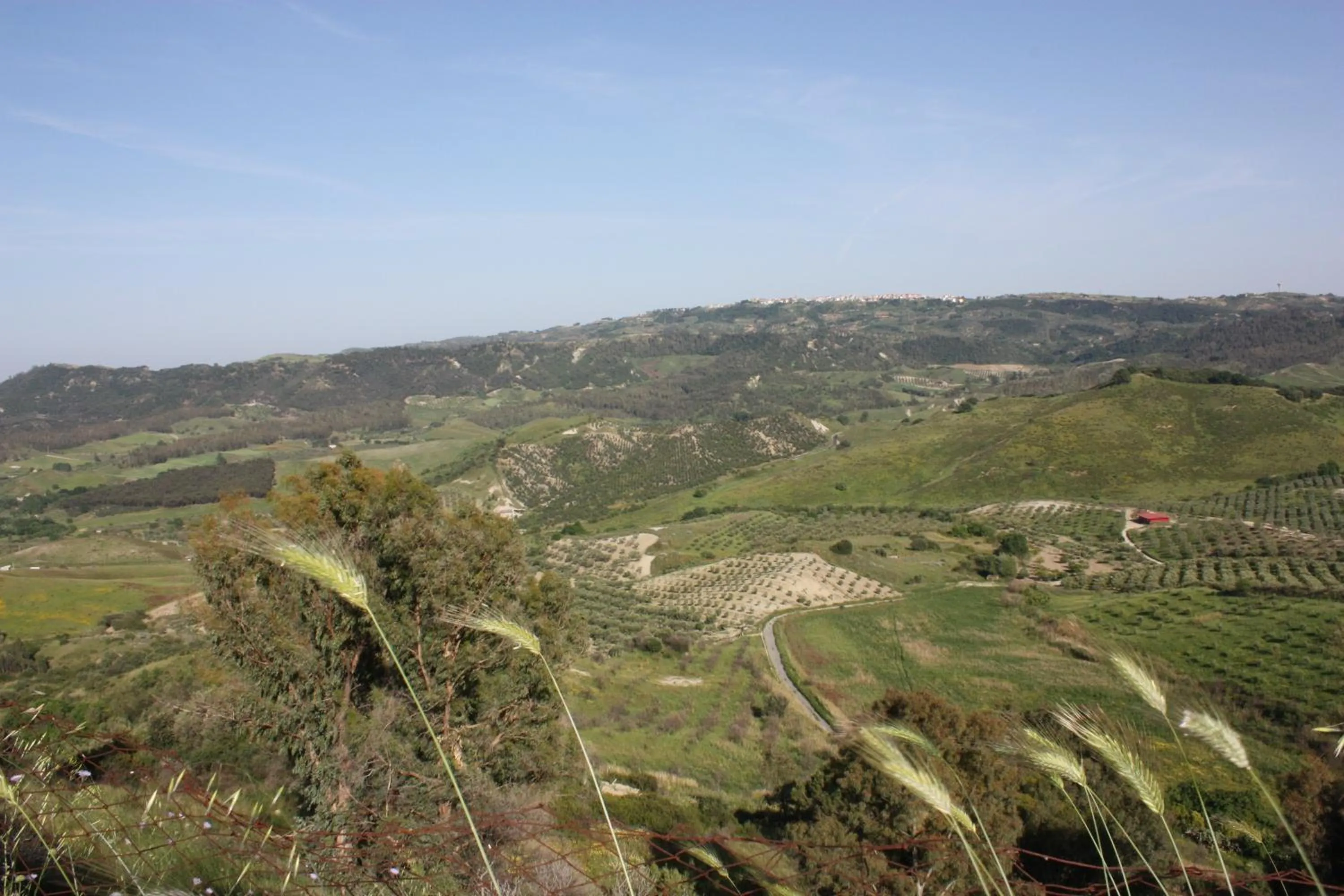 Azienda Agrituristica Le Puzelle