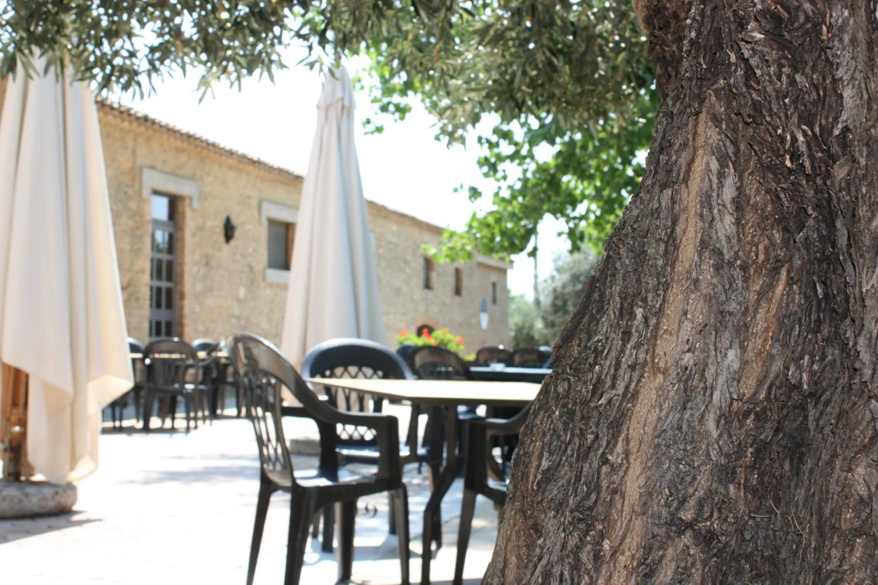 Azienda Agrituristica Le Puzelle