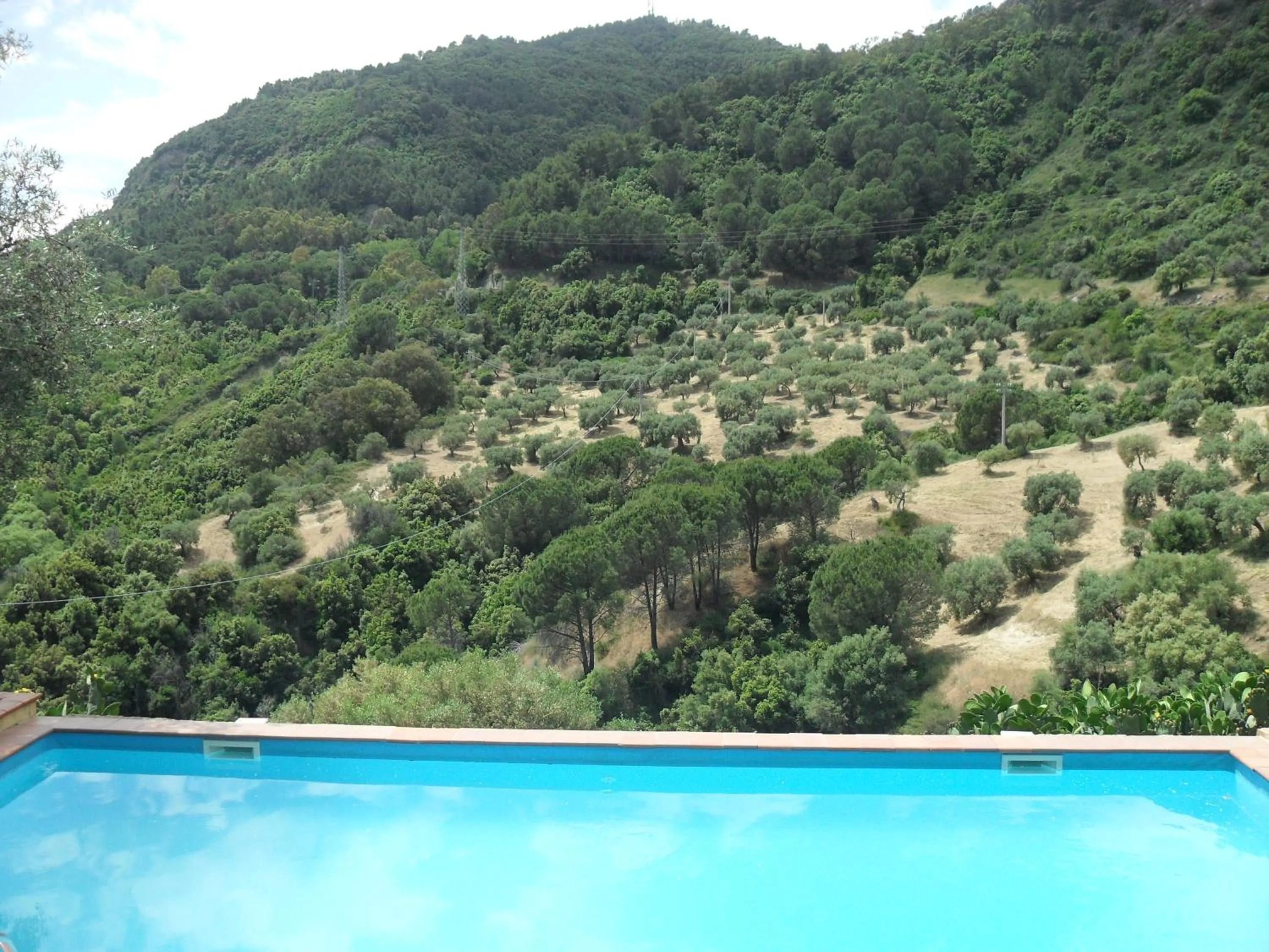 Pool view in Azienda Agrituristica Le Puzelle