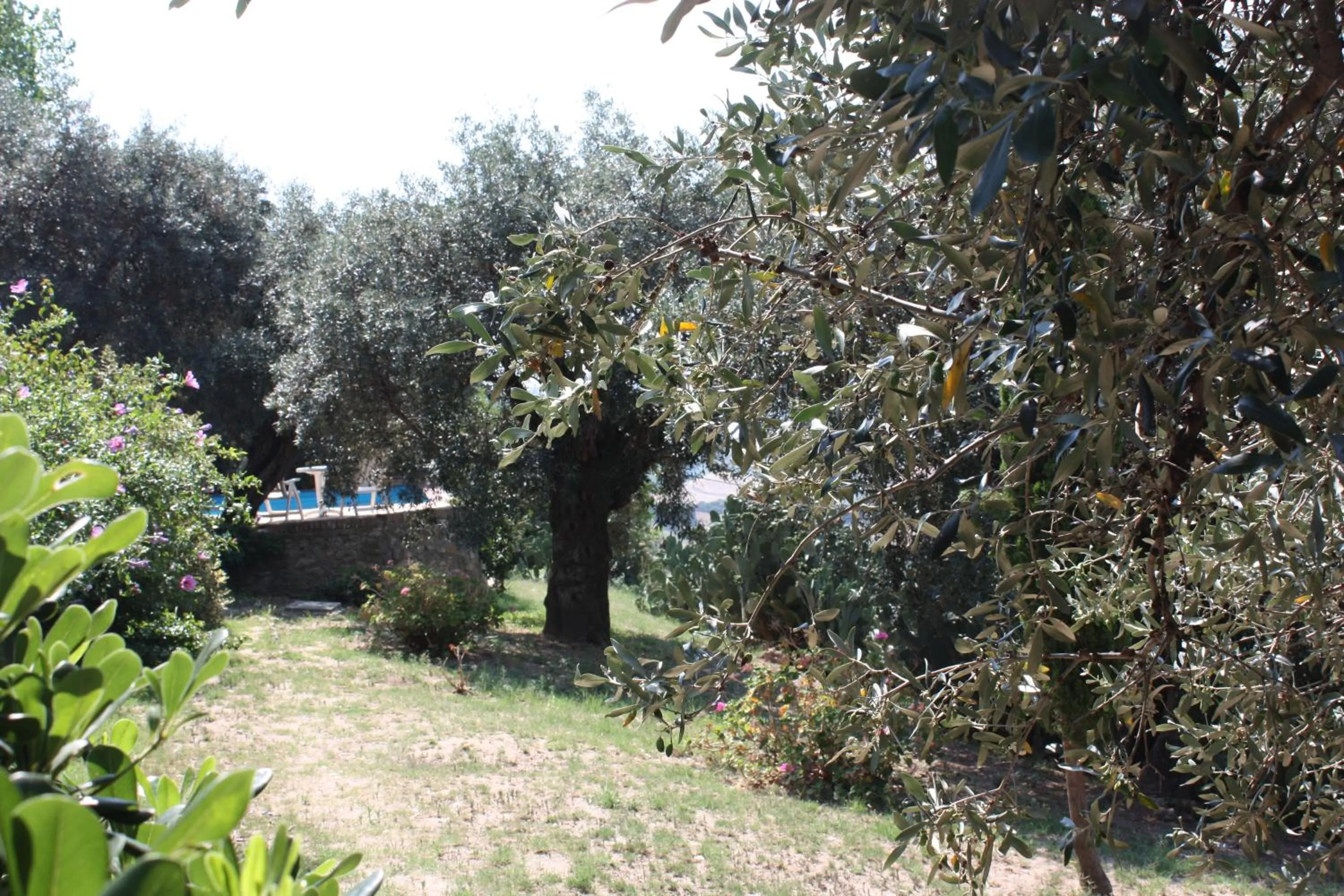 Azienda Agrituristica Le Puzelle