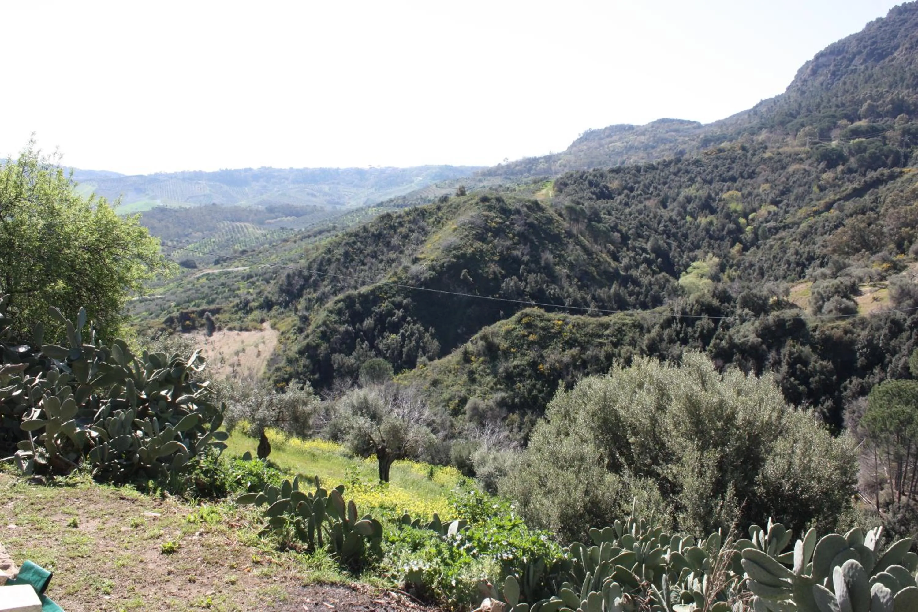 Azienda Agrituristica Le Puzelle