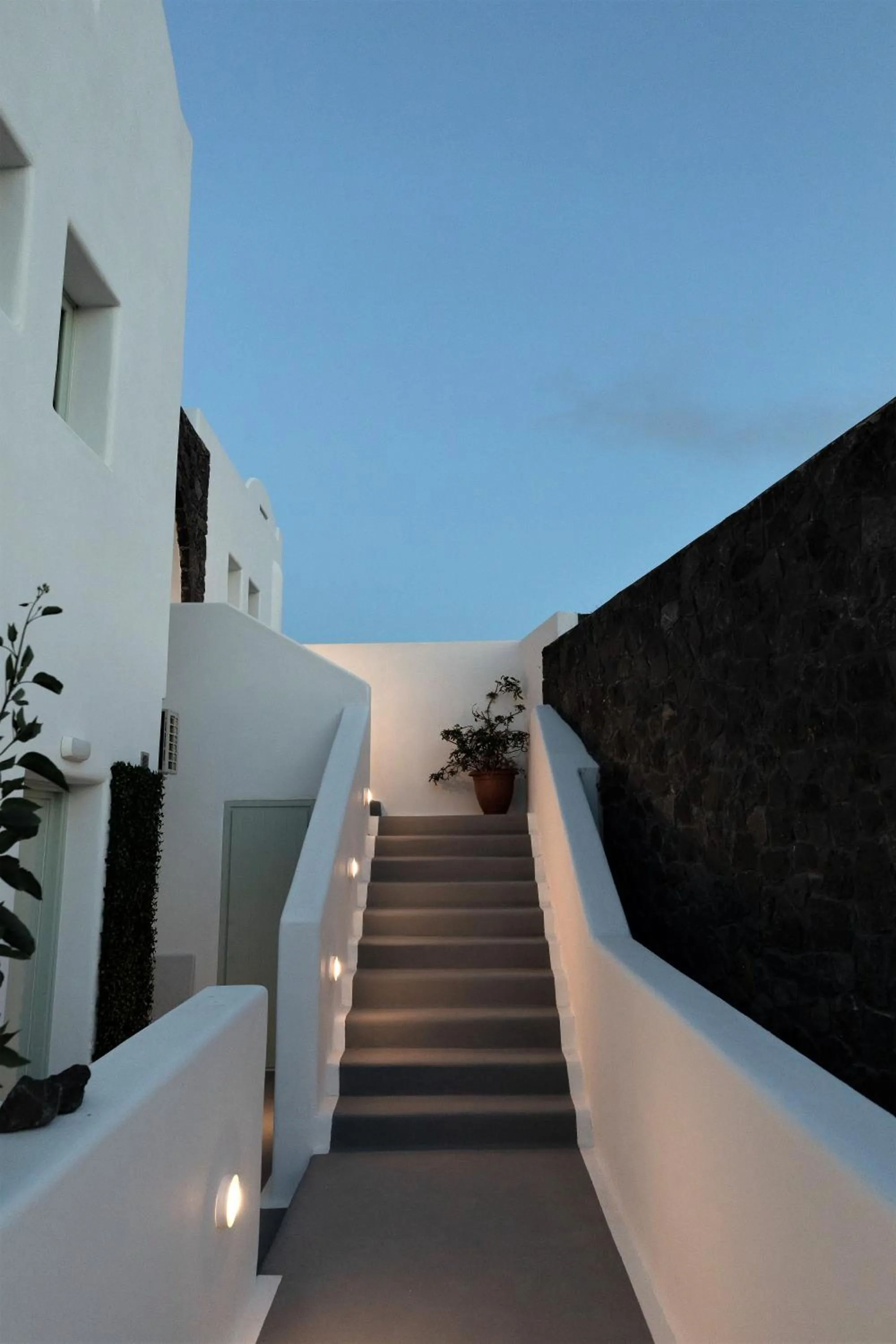 Property building in White Element