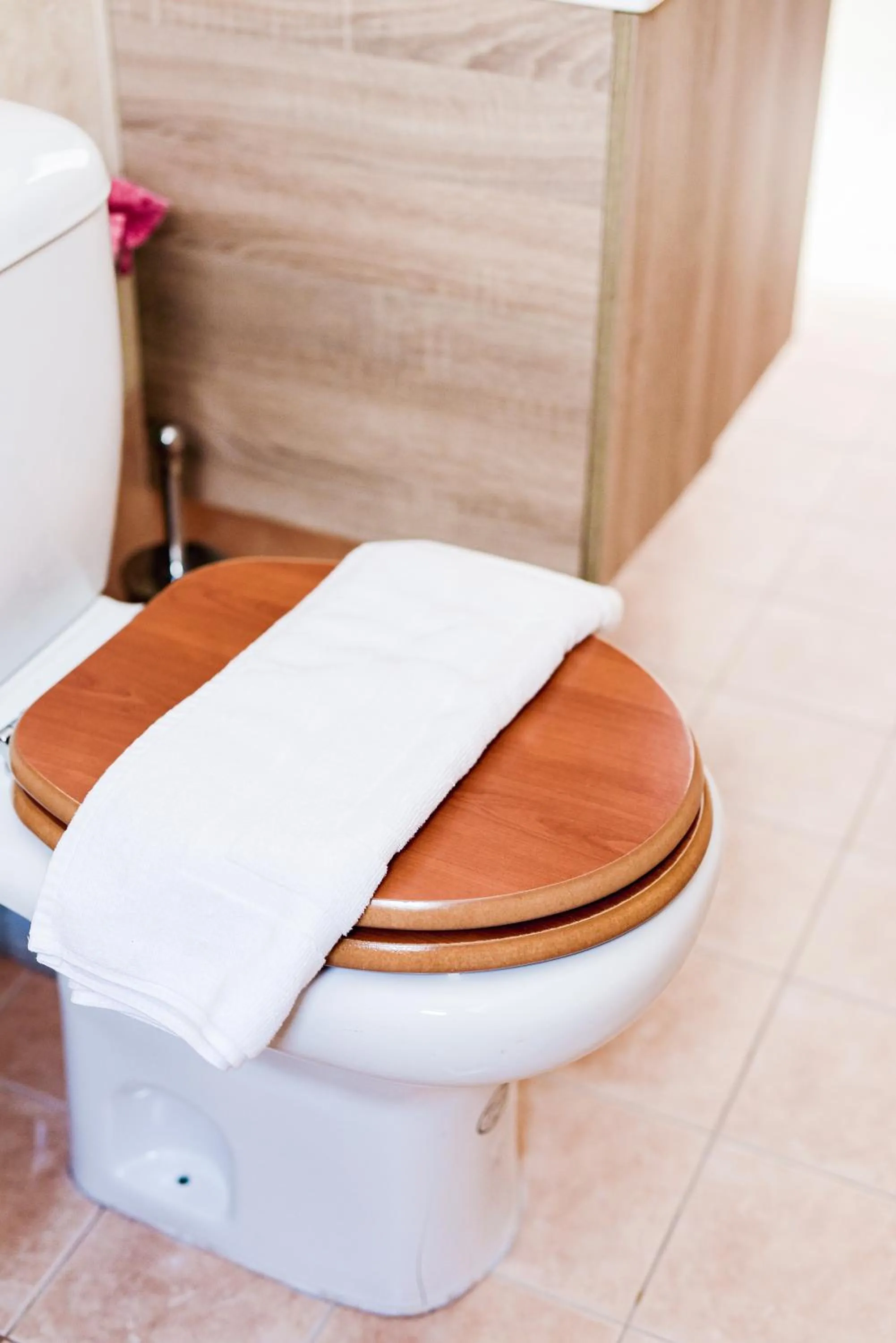 Toilet in Oliva Holiday Homes