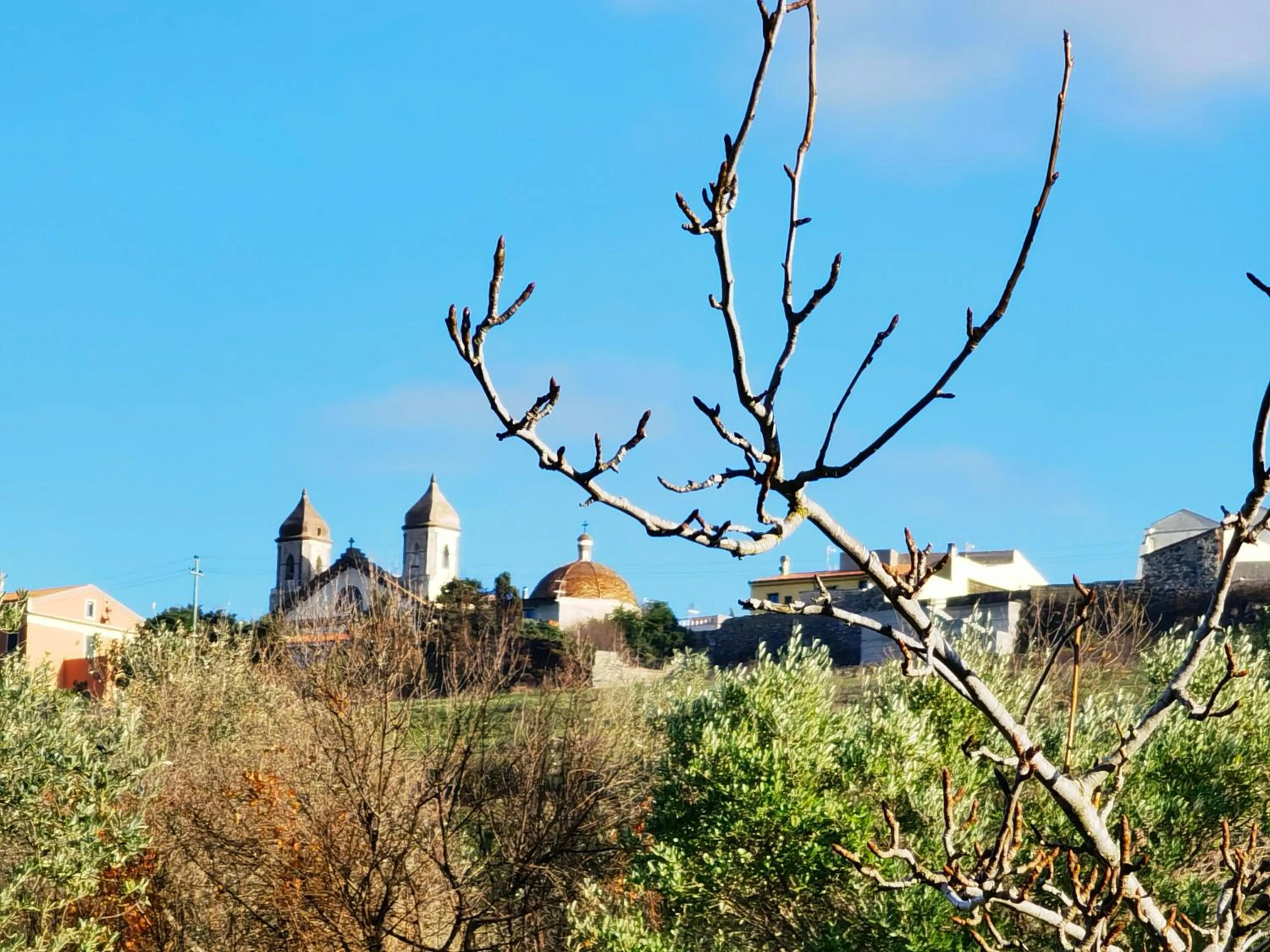 Nearby landmark in La Corte degli Ulivi - Albergo Rurale