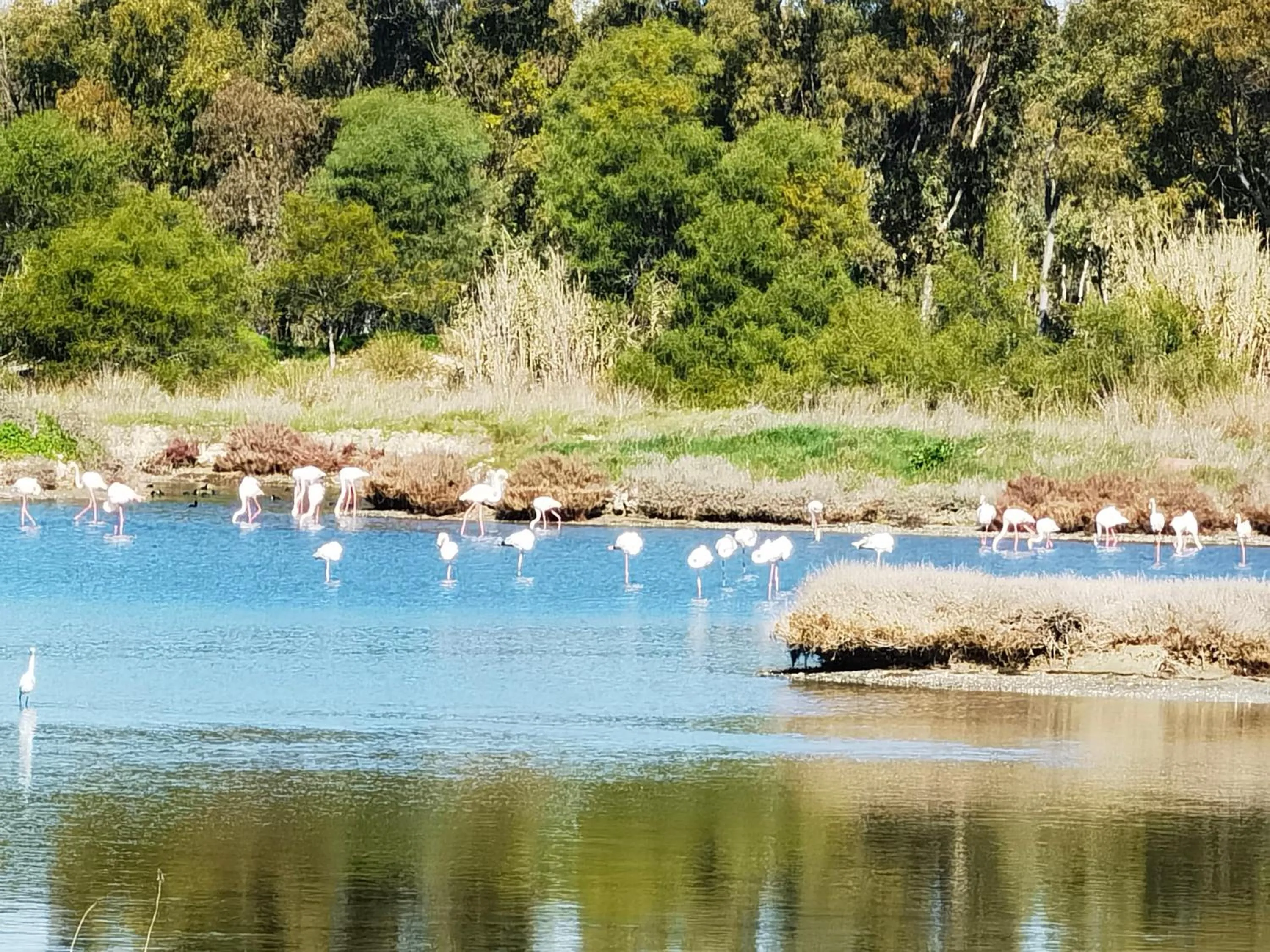 Natural landscape in La Corte degli Ulivi - Albergo Rurale