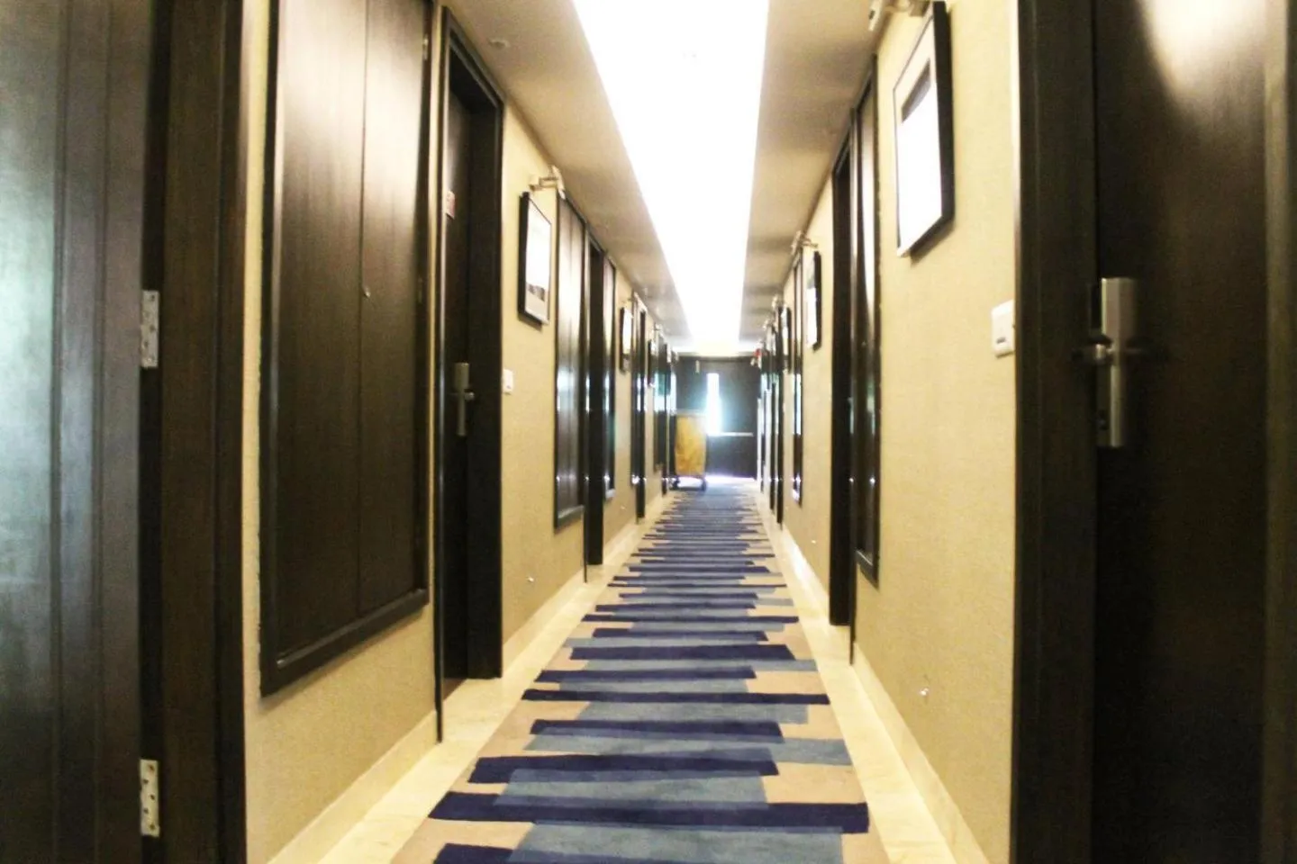 Facade/entrance in The Palm Spring a Boutique Hotel Naraina New Delhi