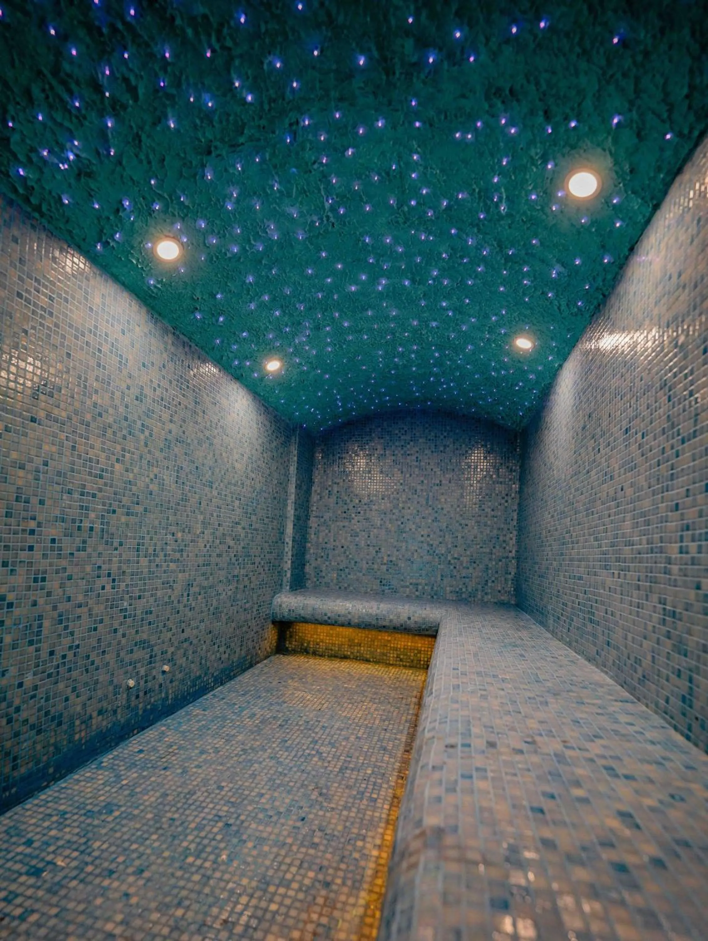 Steam room, Bed in Costera Hotel