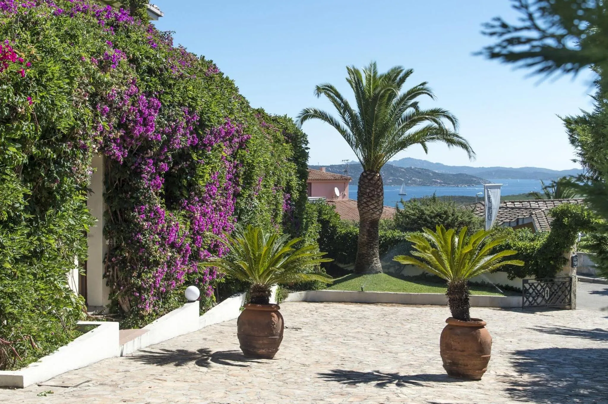 Garden in Hotel Palau