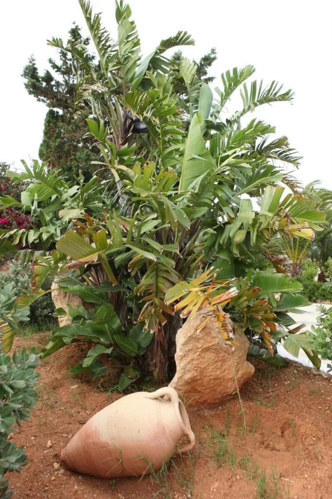 Garden in Cupola Bianca Resort