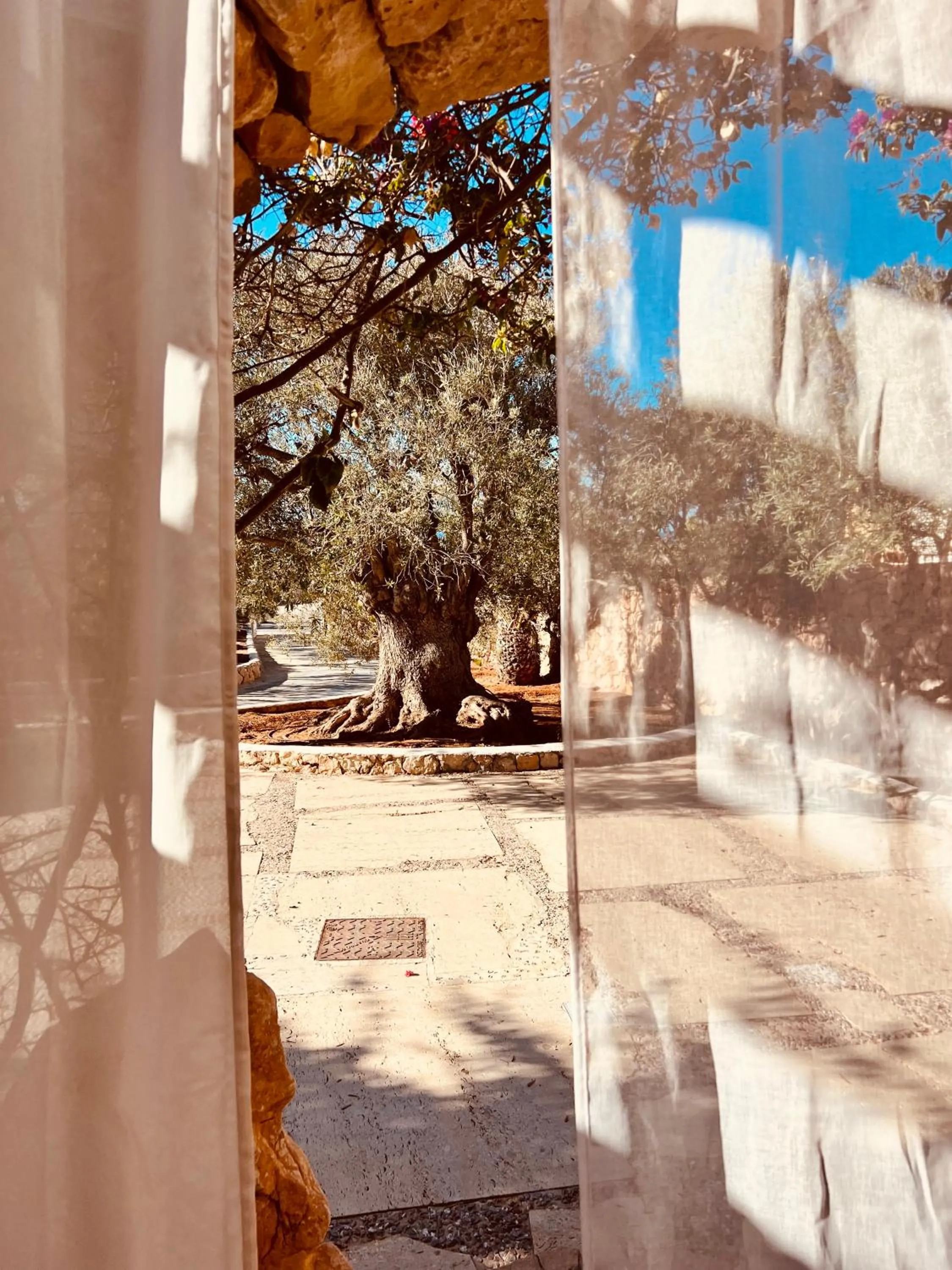 Garden view in Cupola Bianca Resort