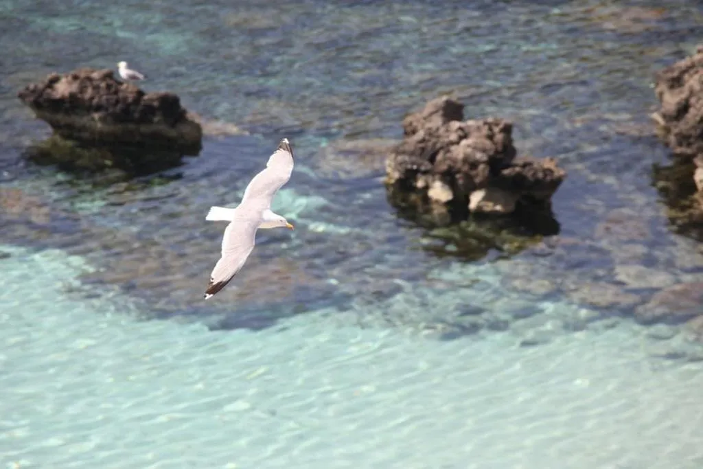 Area and facilities in Cupola Bianca Resort