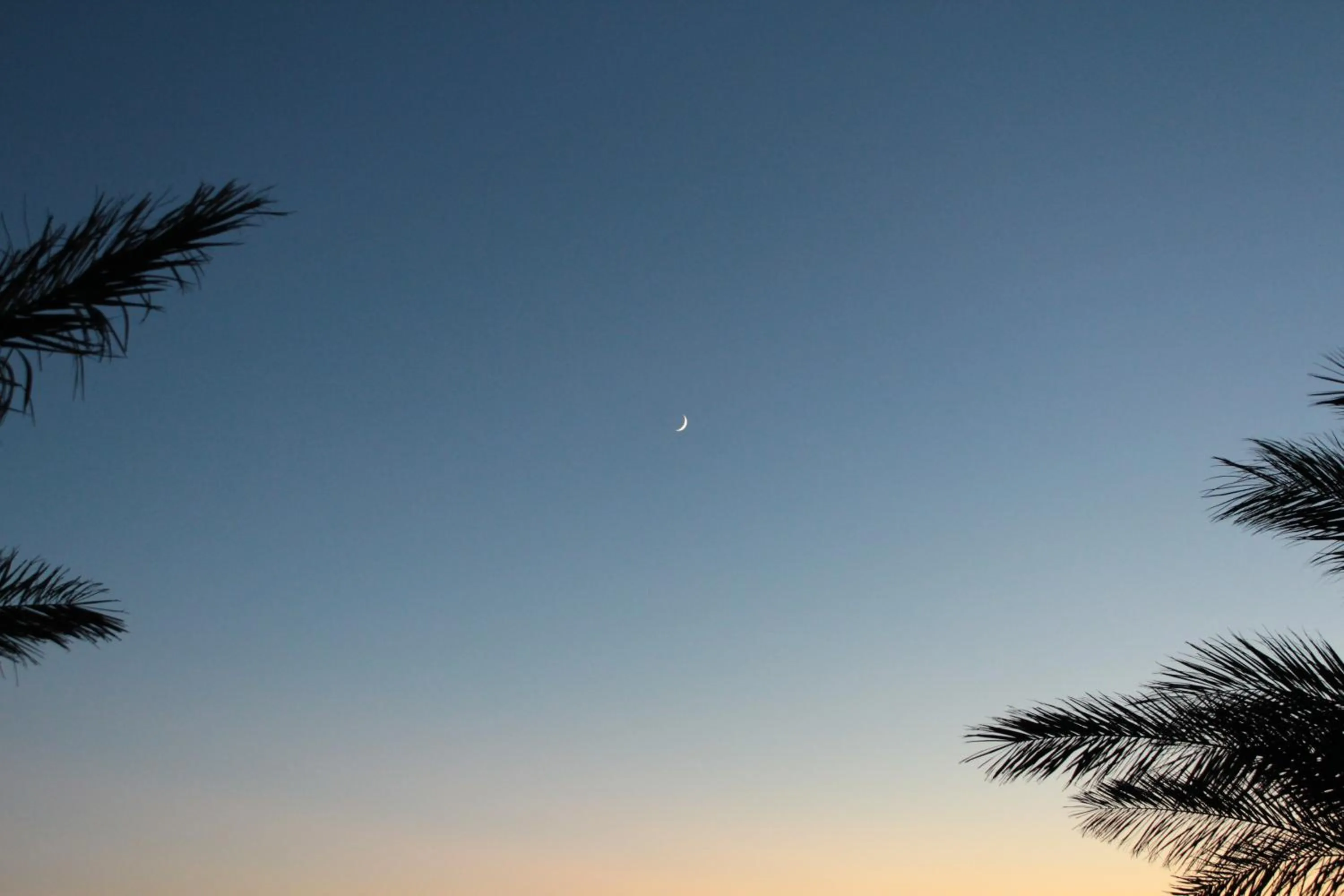 Facade/entrance in Cupola Bianca Resort