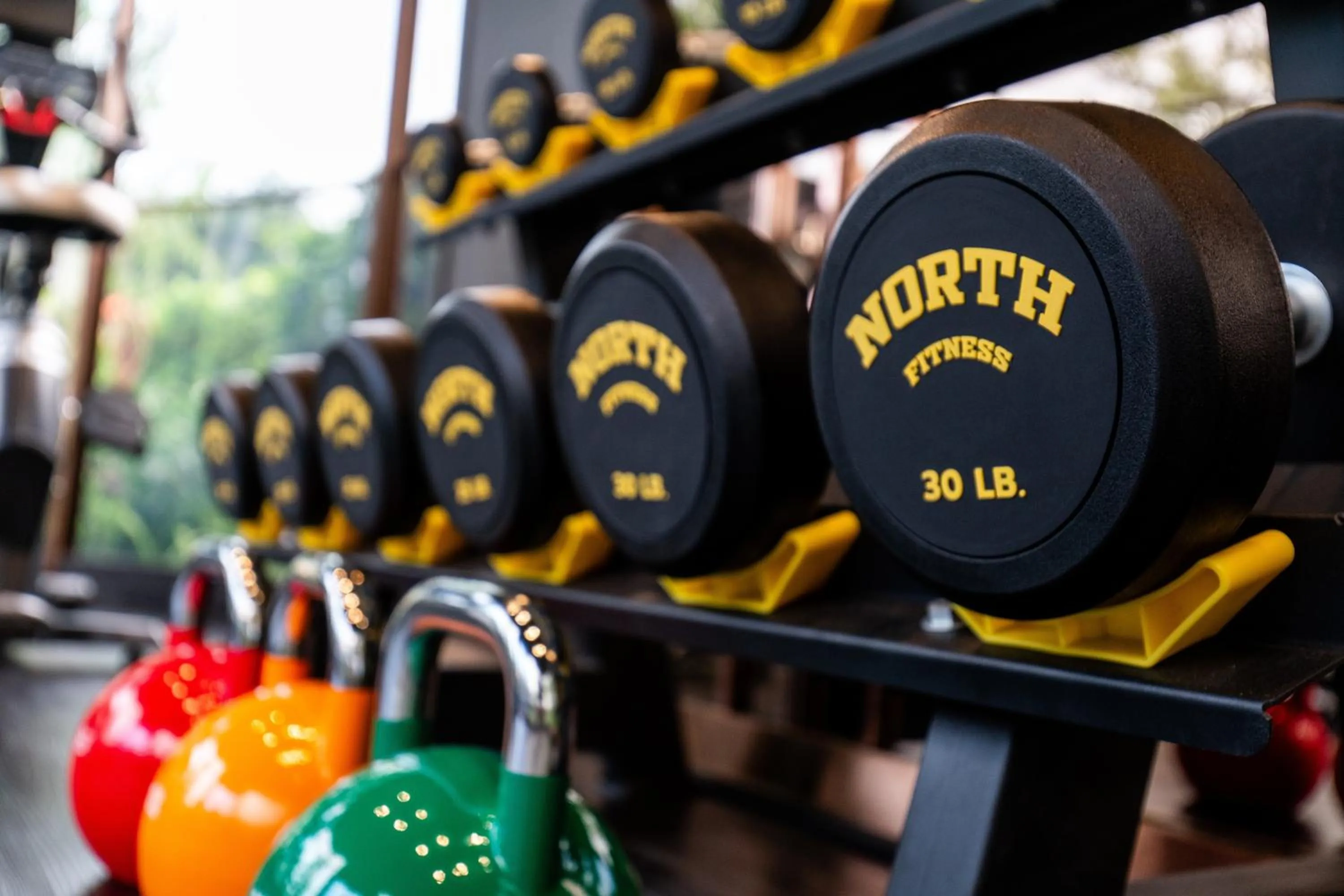 Fitness centre/facilities in The One Smart Living