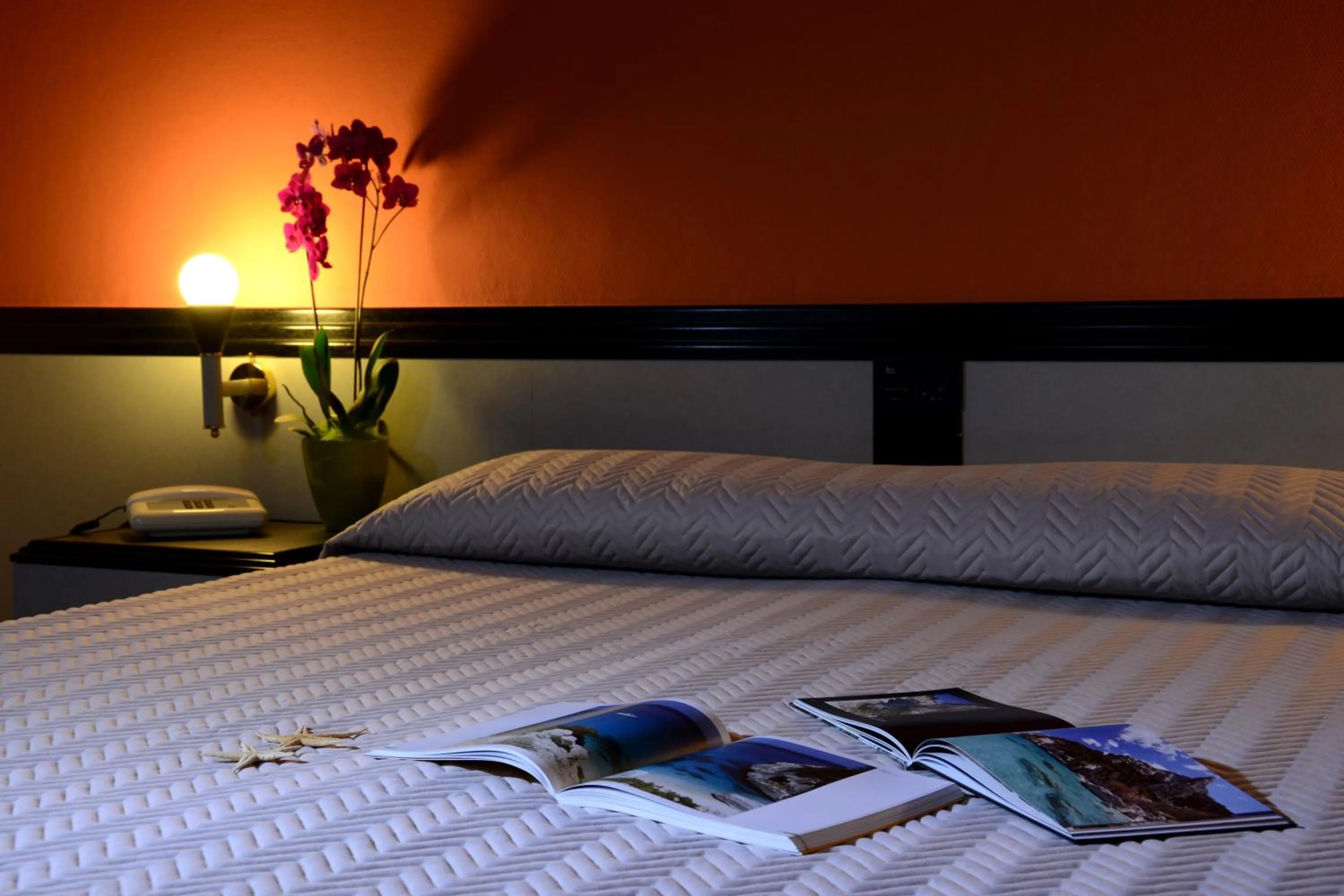 Photo of the whole room, Bed in Hotel Orri