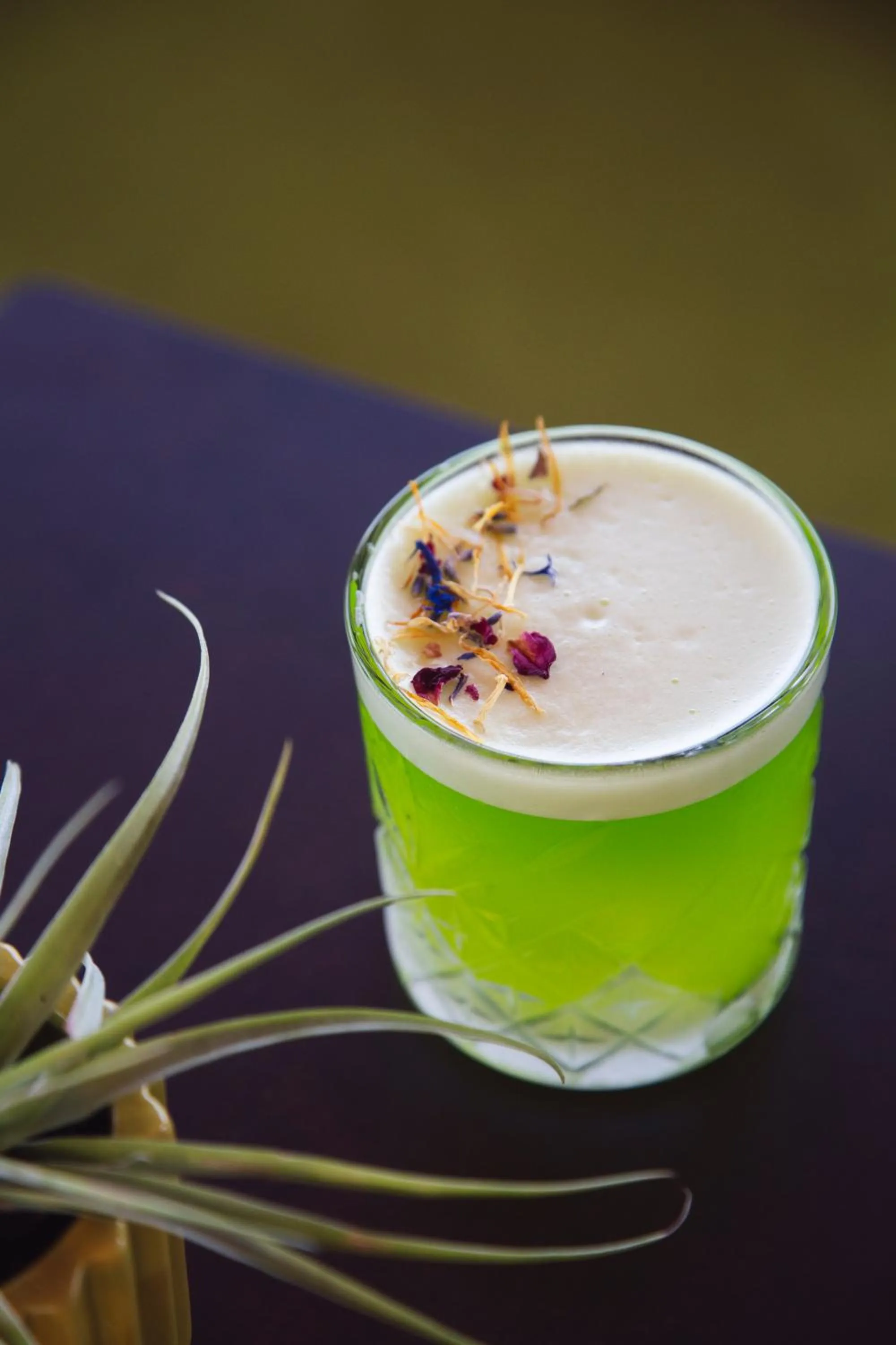 Lounge or bar in Hotel Orri