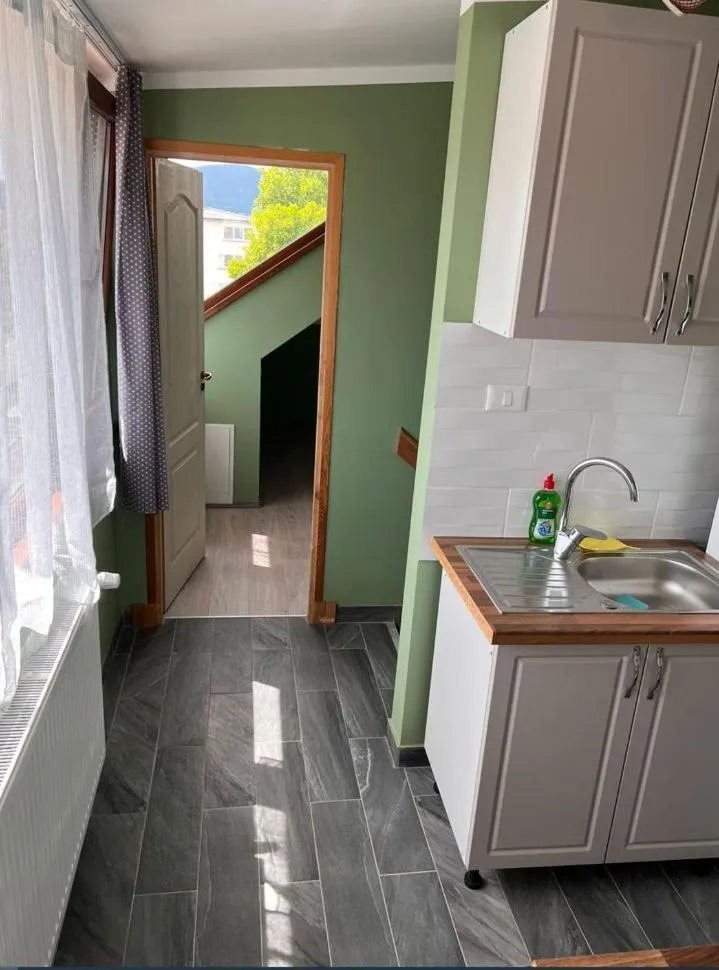 Kitchen or kitchenette in Premont Studios Ghimbav