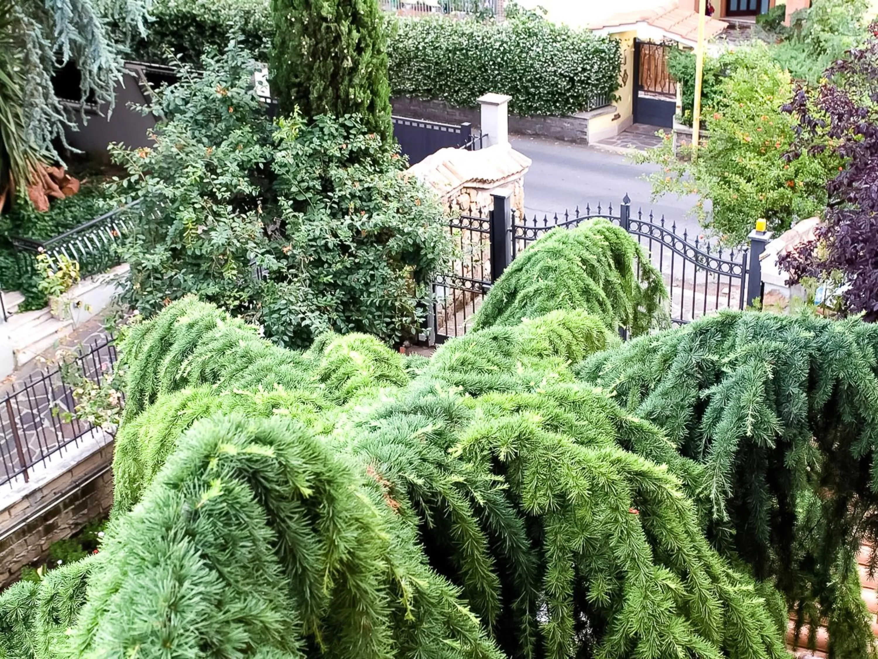 Decorative detail in Hotel Louis II