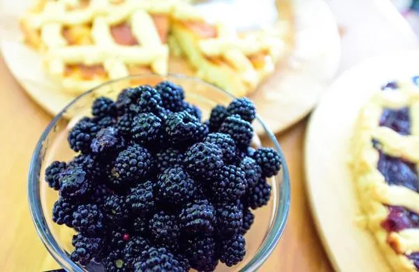 Restaurant/places to eat in Hotel Vela Velo Club Vieste