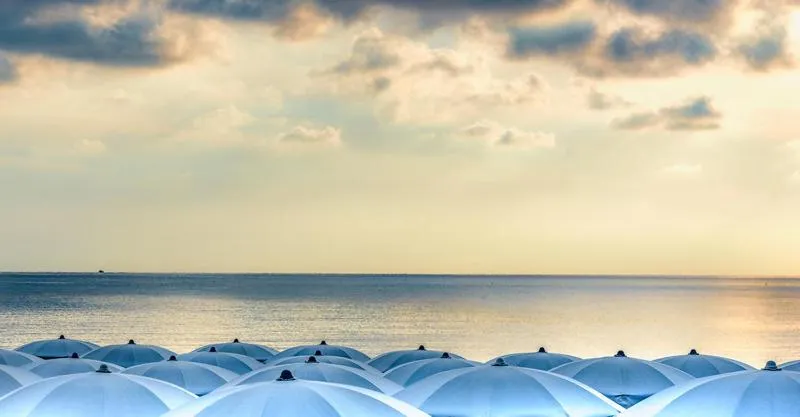 Natural landscape in Hotel Vela Velo Club Vieste