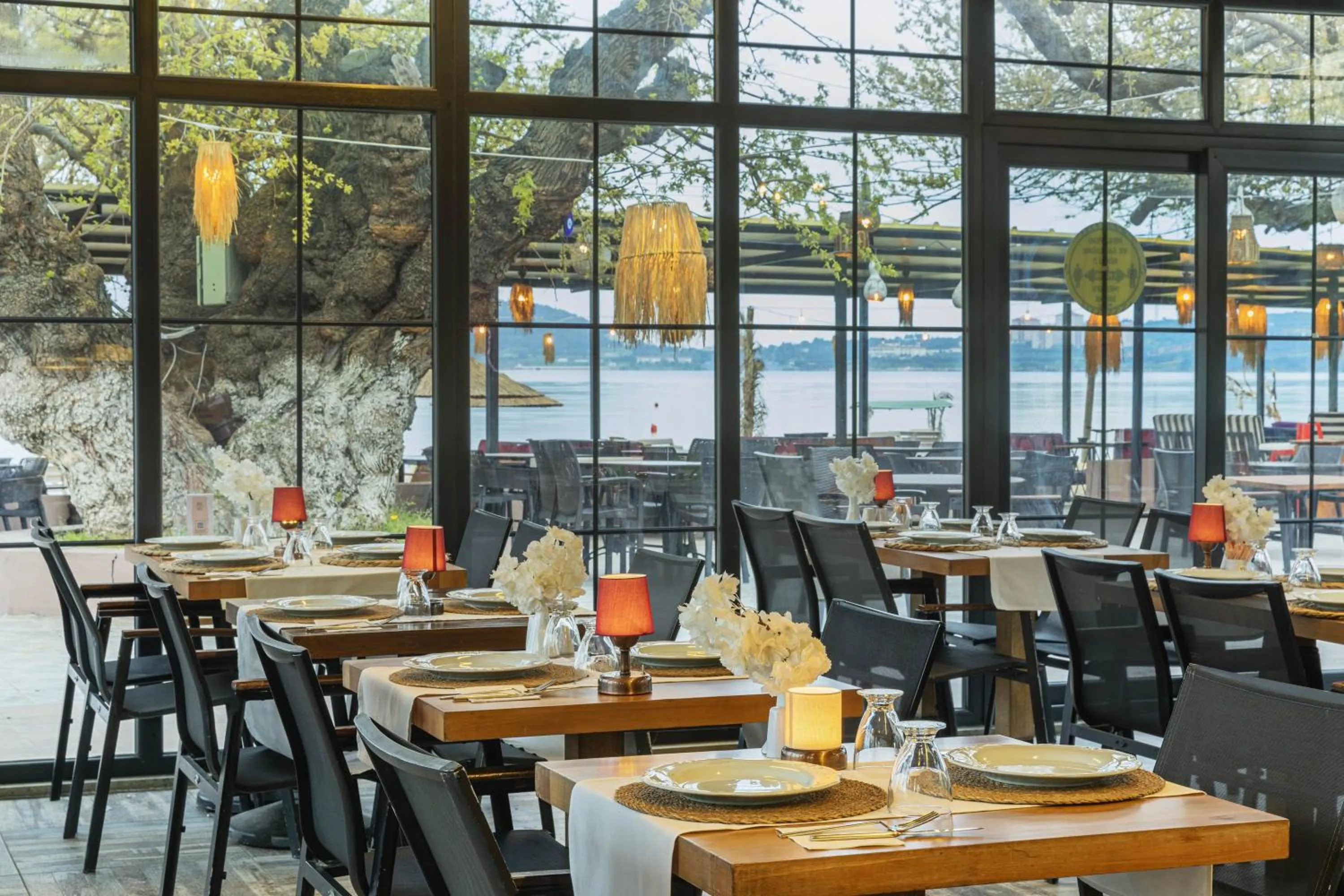 Restaurant/places to eat in KİRAZ BEACH OTEL