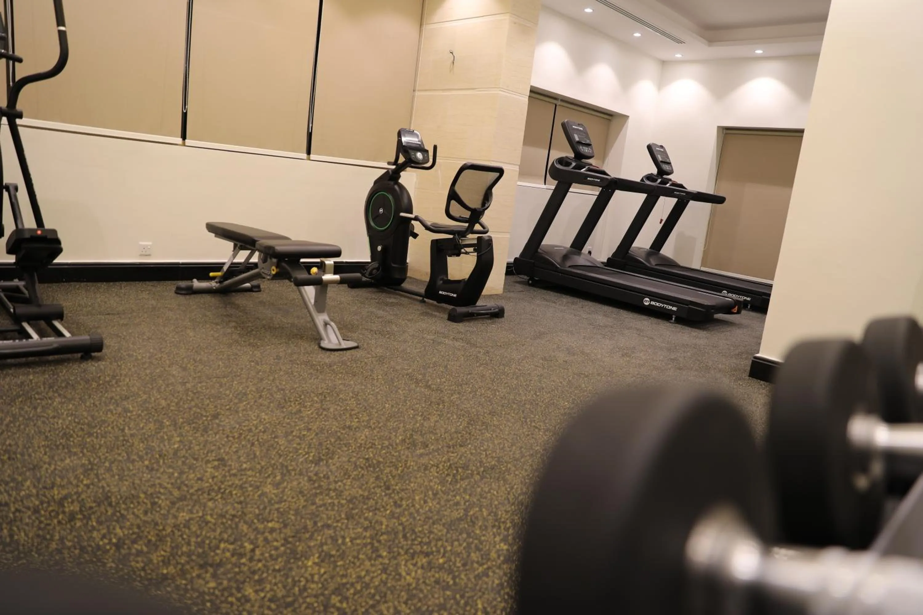 Fitness centre/facilities in فندق جولدن إيليت Golden Elite Hotel