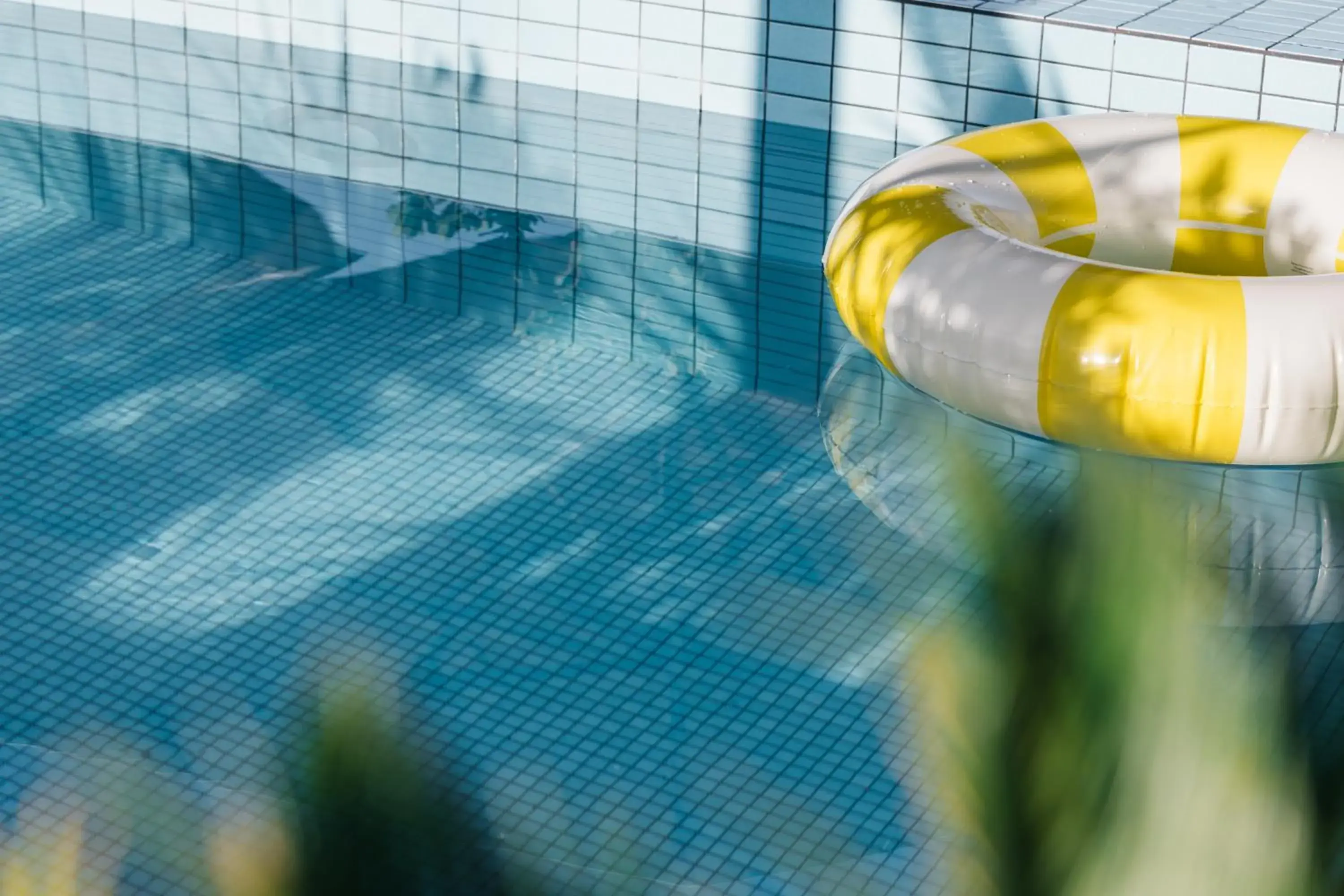 Swimming pool in The Social Hub Toulouse Swimming pool in The Social Hub Toulouse