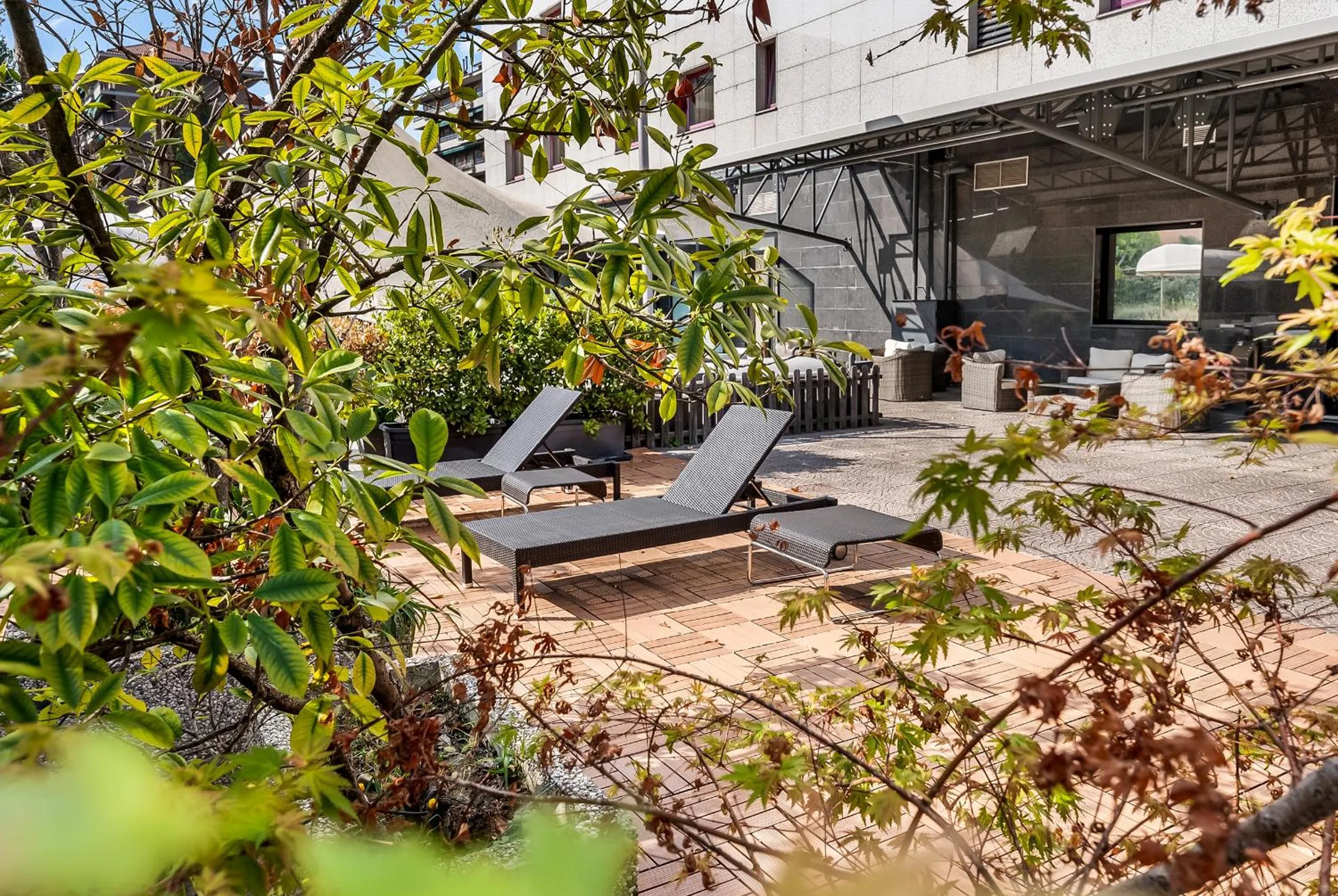 Garden view in Abacus Hotel