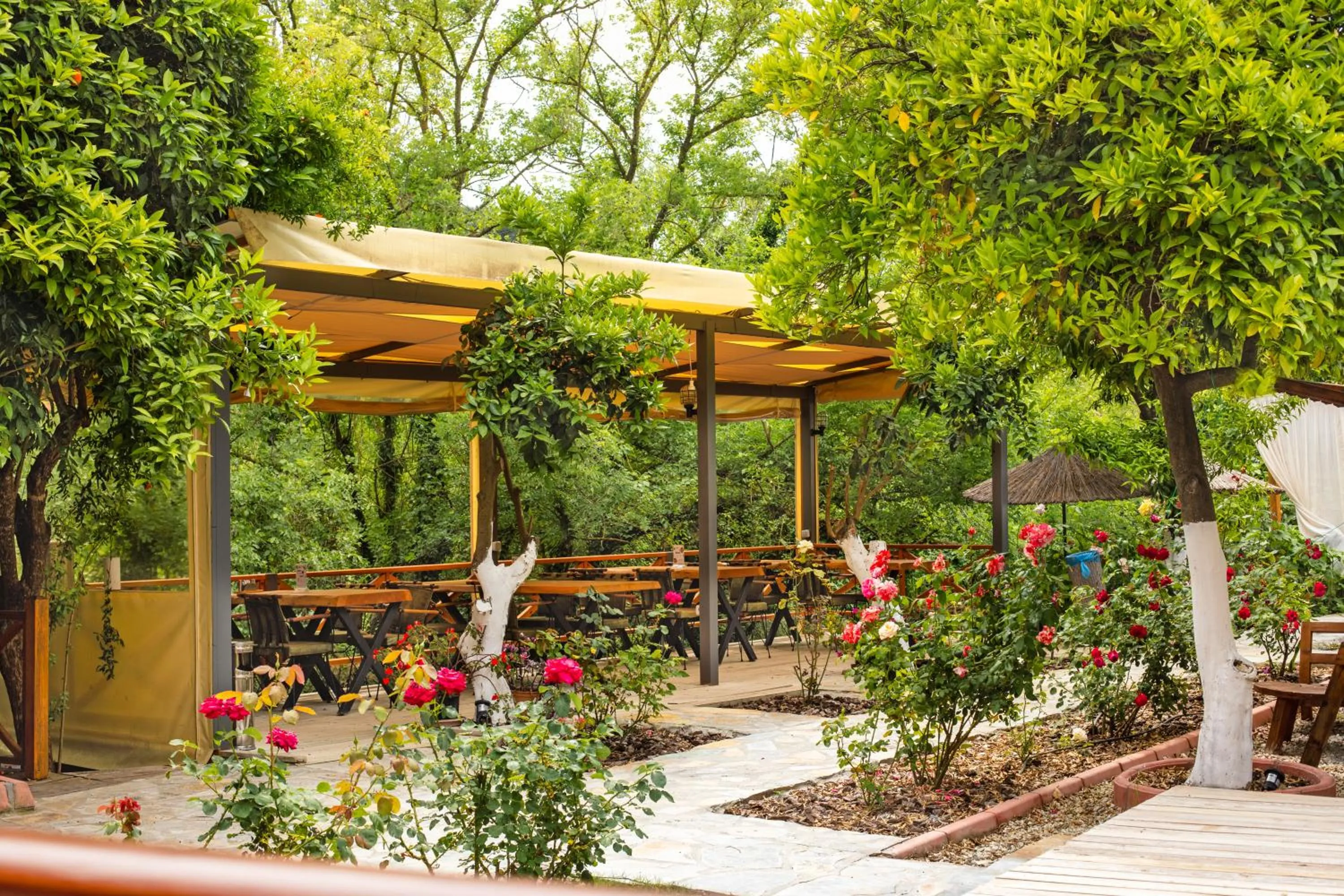 Garden view in Orange Garden Hotel Akyaka