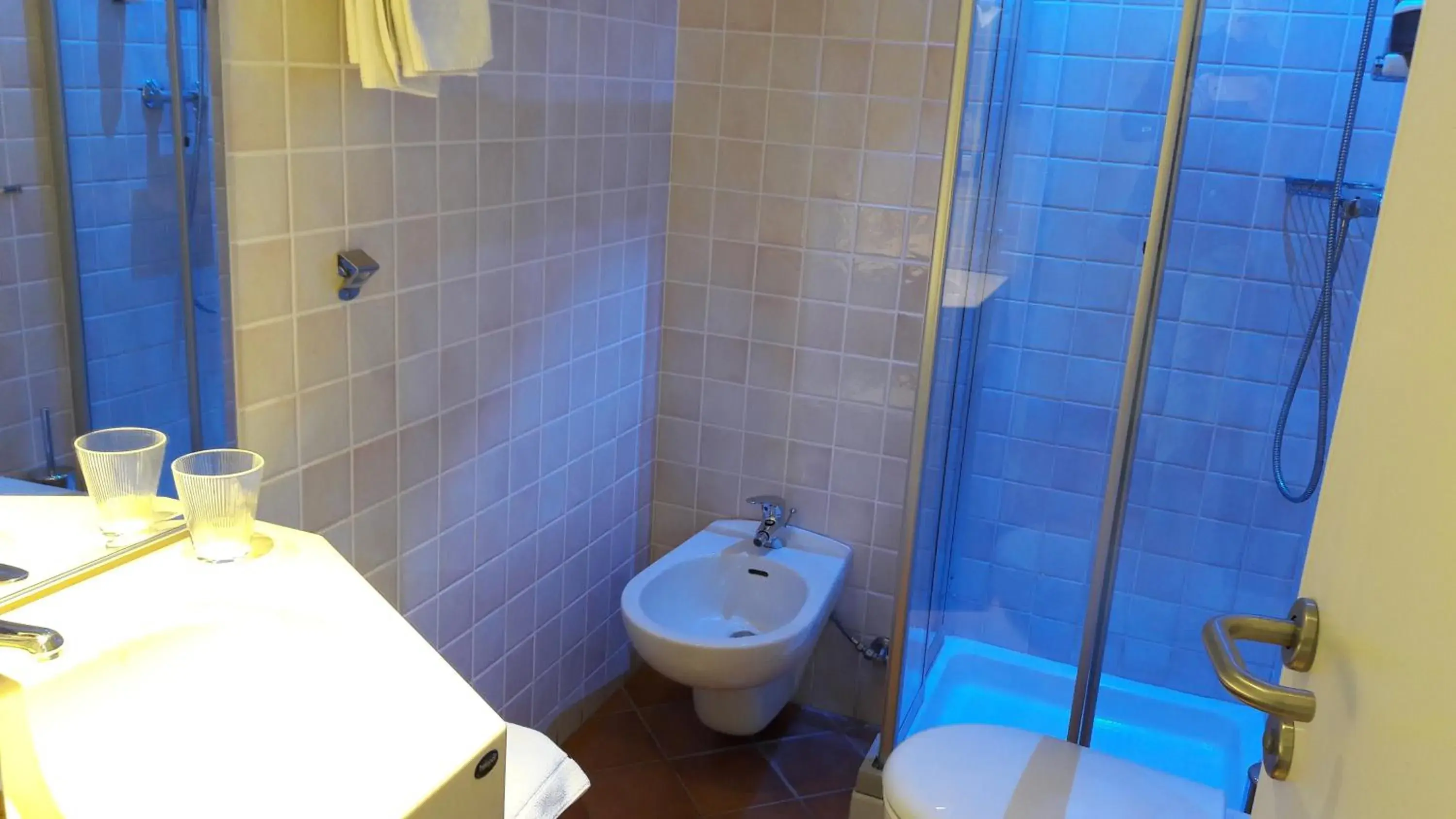 Double Room in Park Hotel San Michele Double Room in Park Hotel San Michele