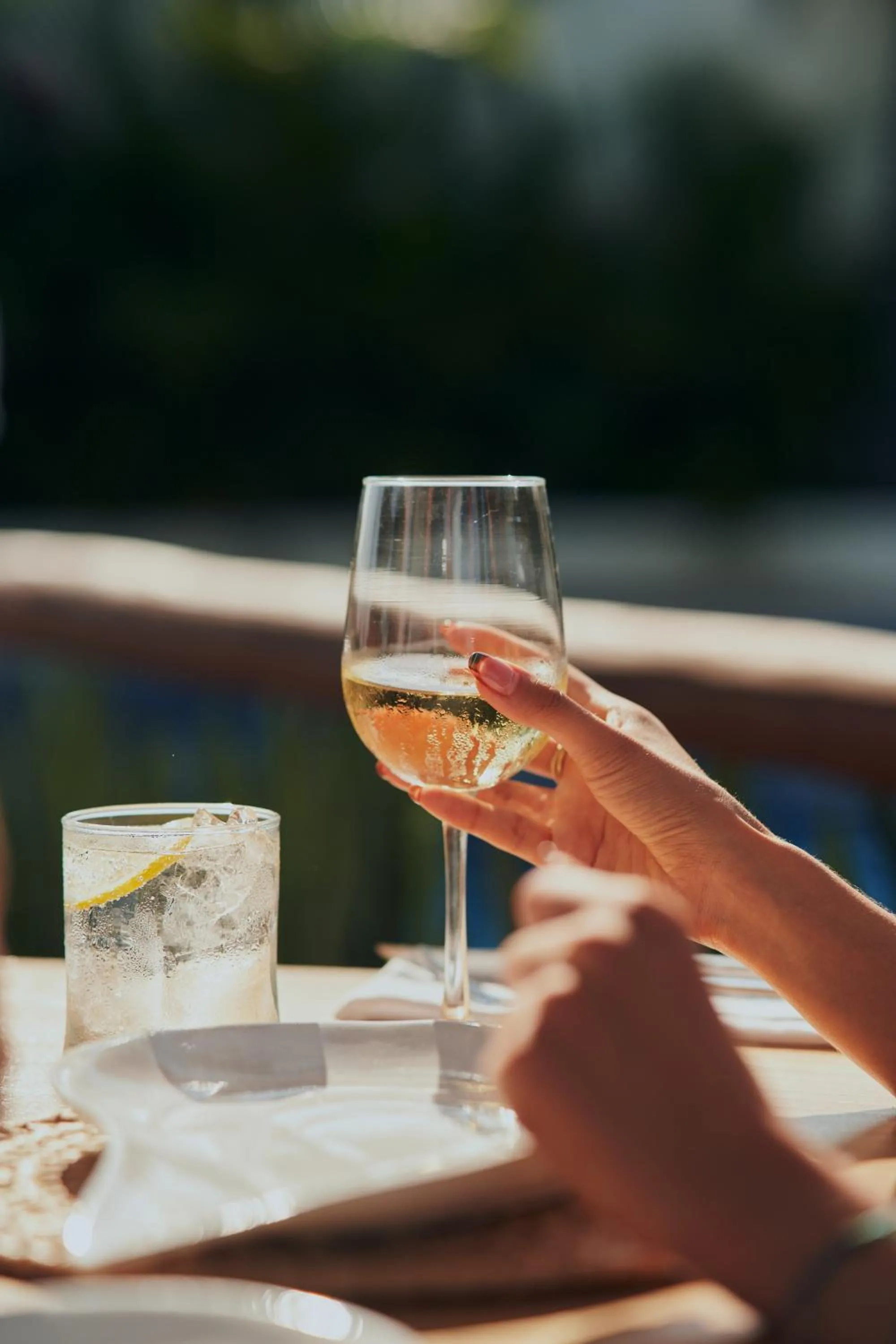 Day in Hotel Ysuri Bucerias