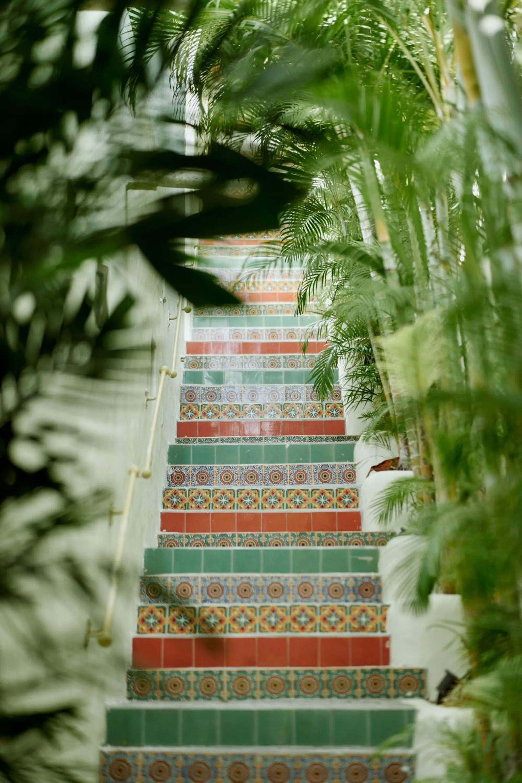 Spring in Hotel Ysuri Bucerias