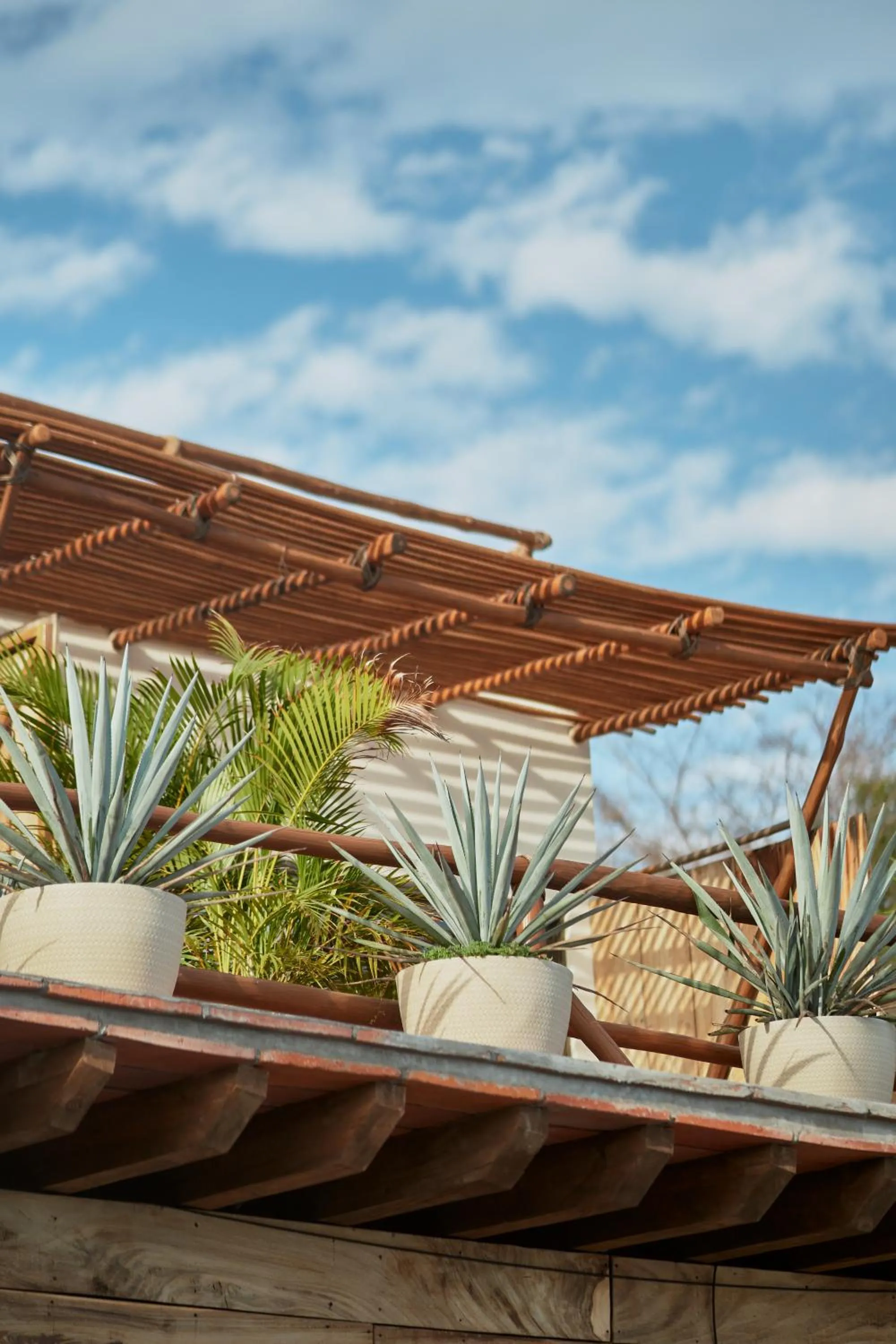 Day in Hotel Ysuri Bucerias