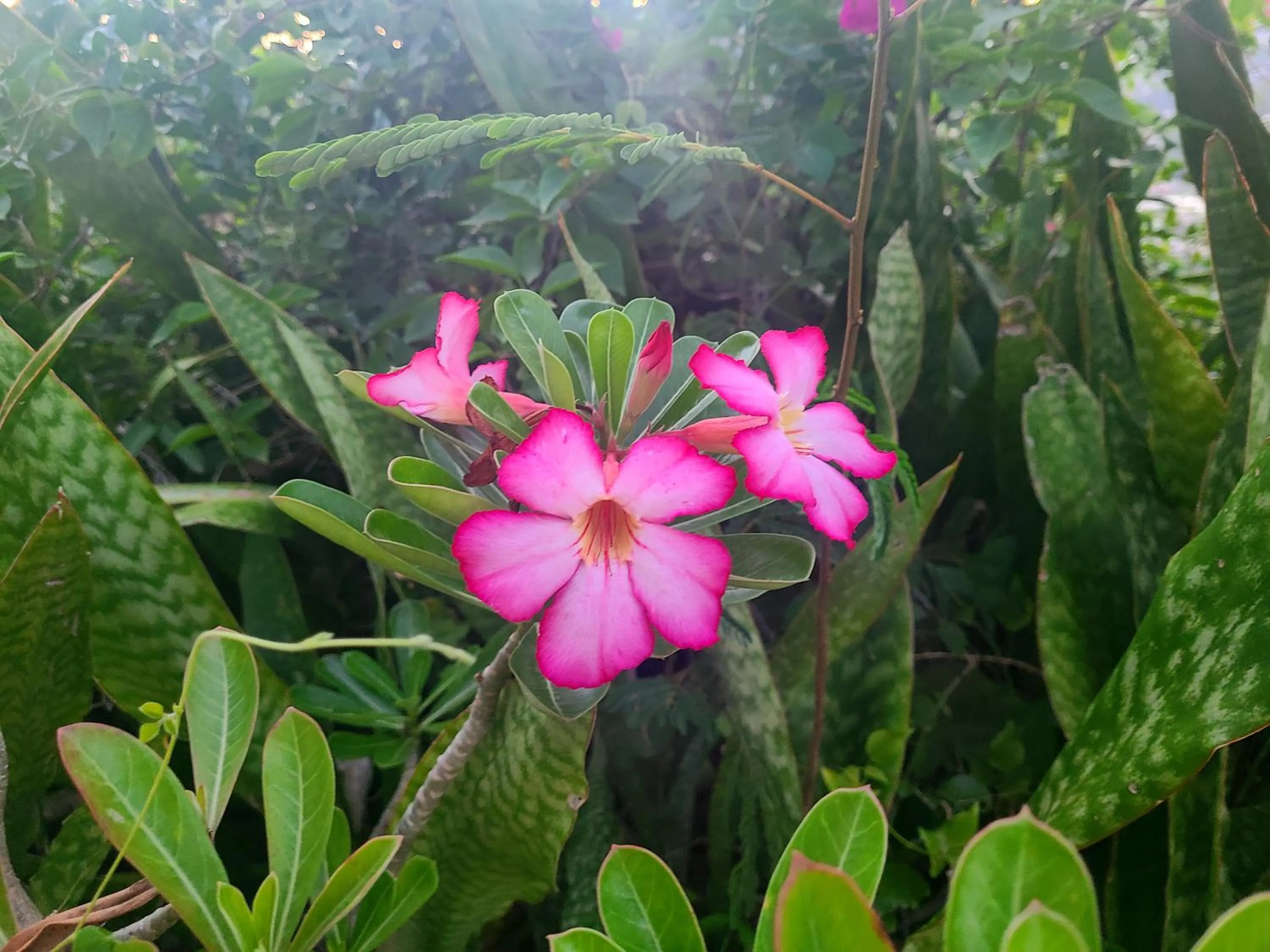 Boundless Bliss Hotel