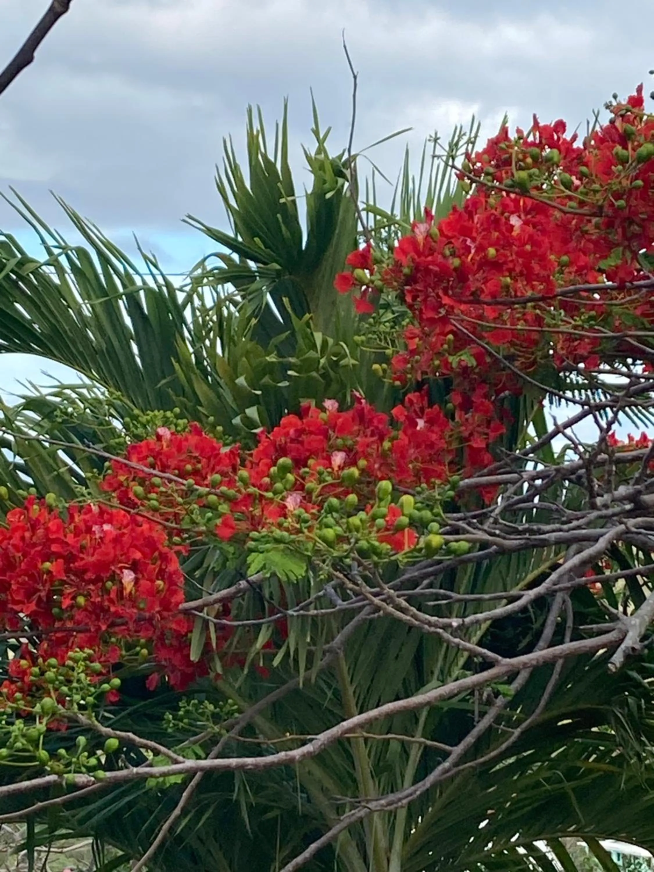 Boundless Bliss Hotel