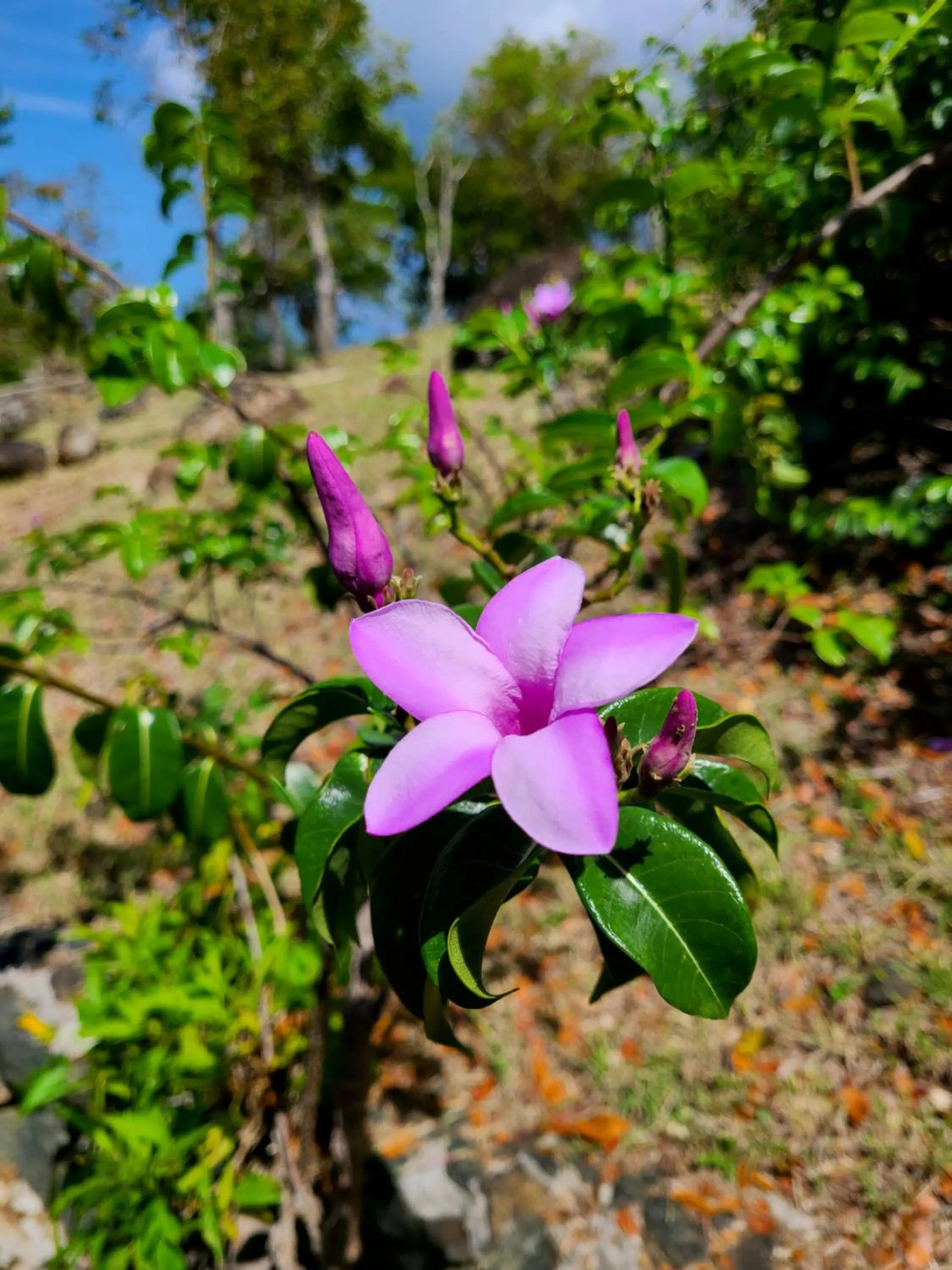 Boundless Bliss Hotel