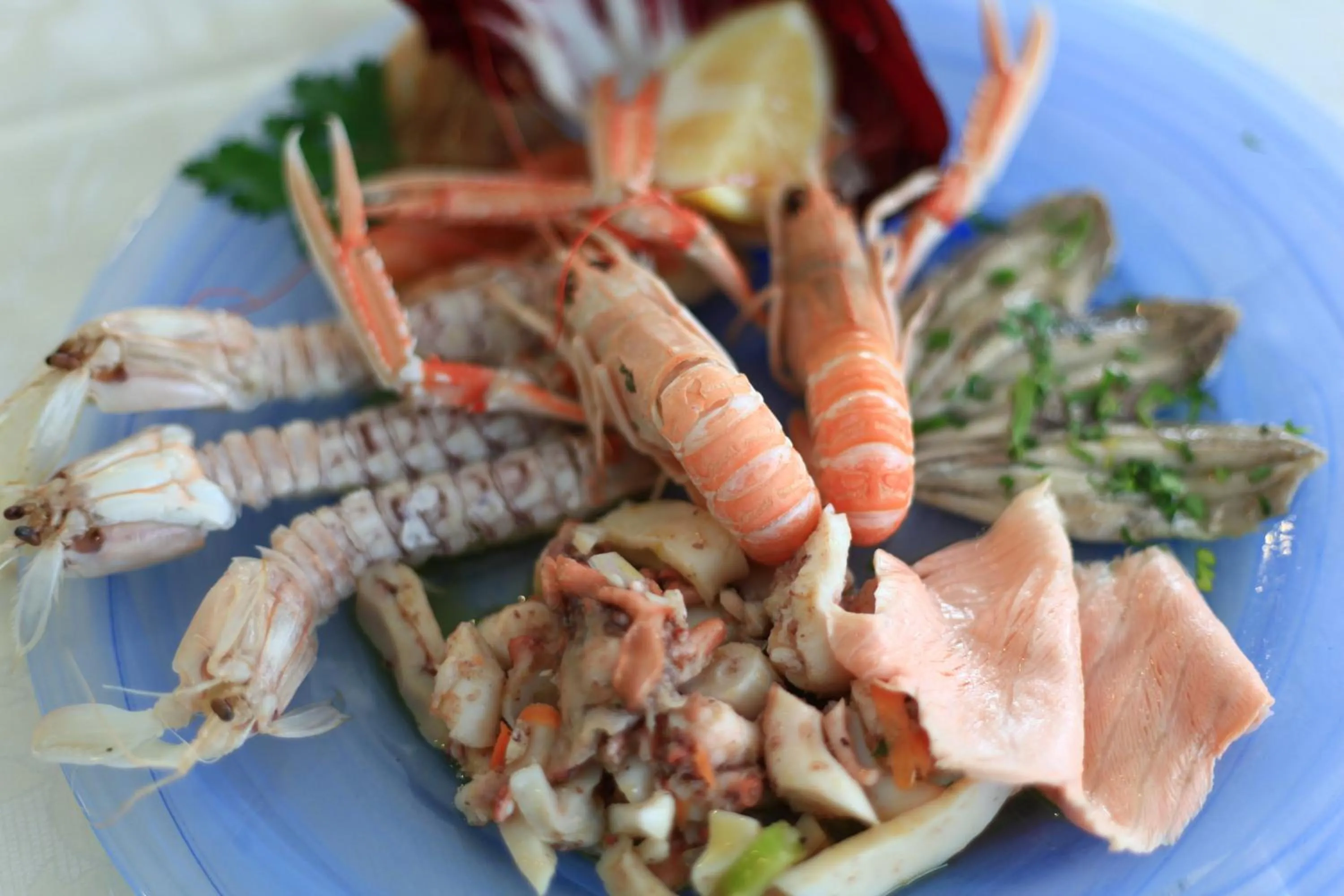 Animals in Hotel Giannino