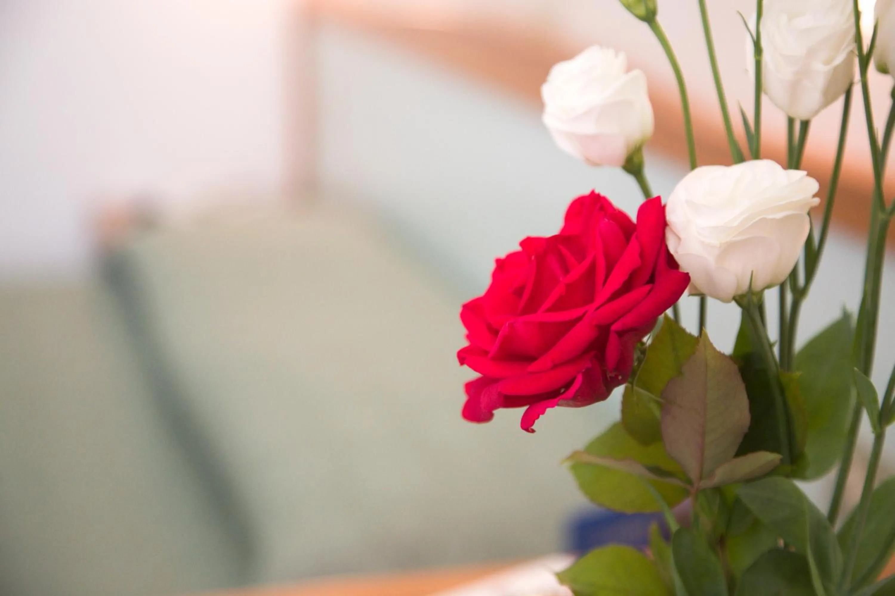 Decorative detail in Hotel Giannino